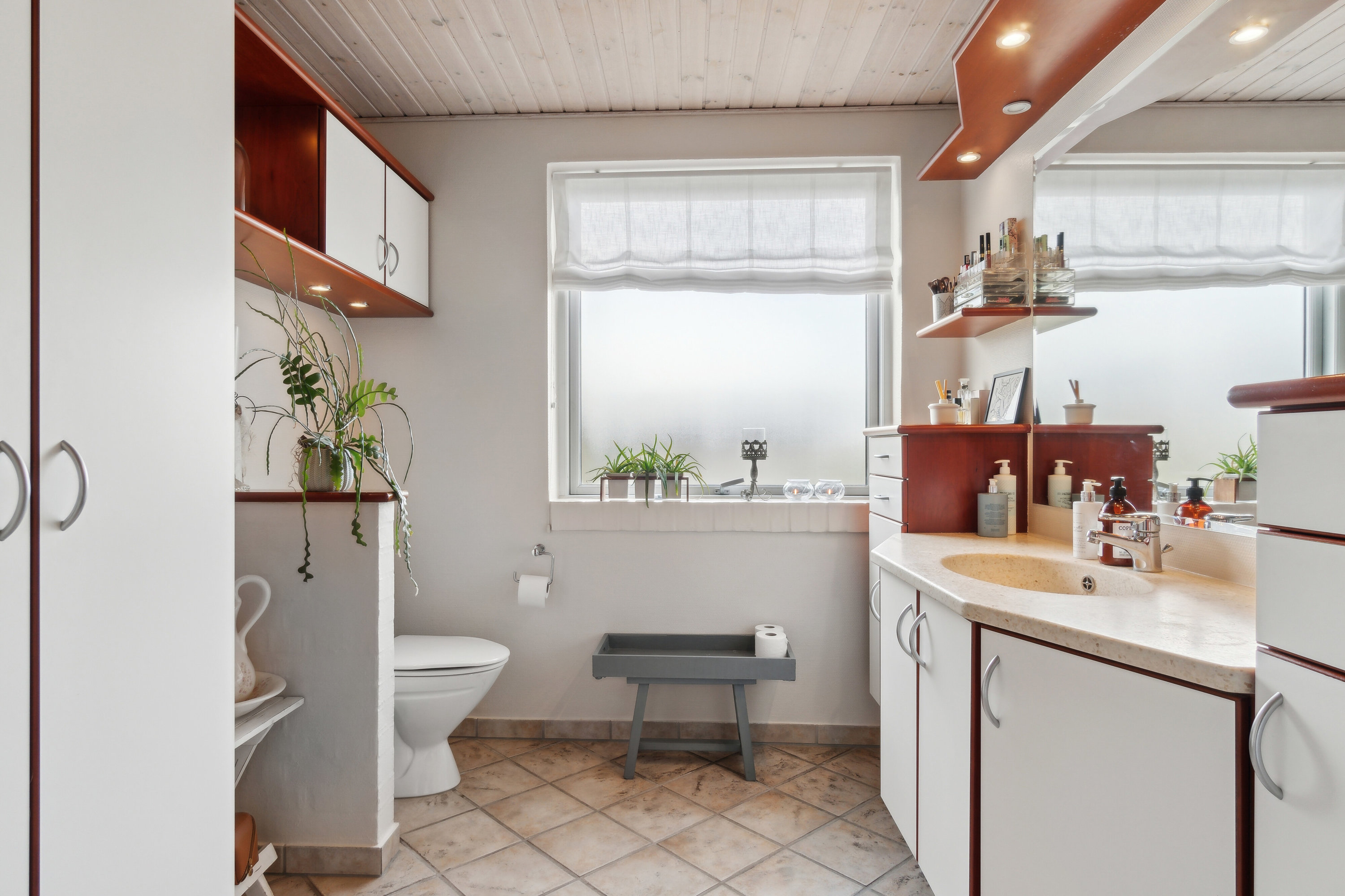 Fremhævet toilet billede i fuldskærmstilstand. Billede af Bøge Alle 7, 7430 Ikast