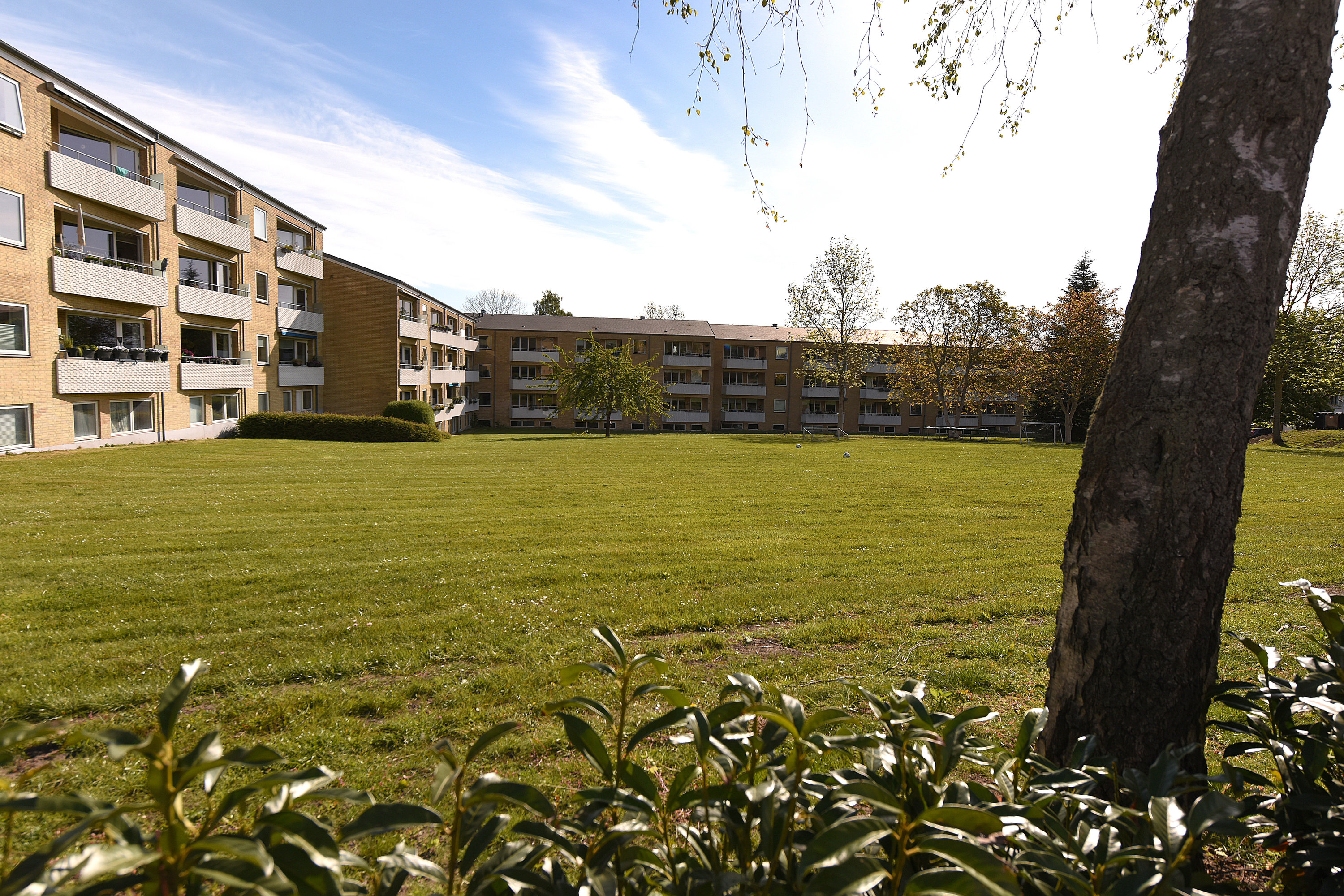 Fremhævet  billede i fuldskærmstilstand. Billede af Tirstrupvej 6, st.. th., 8240 Risskov