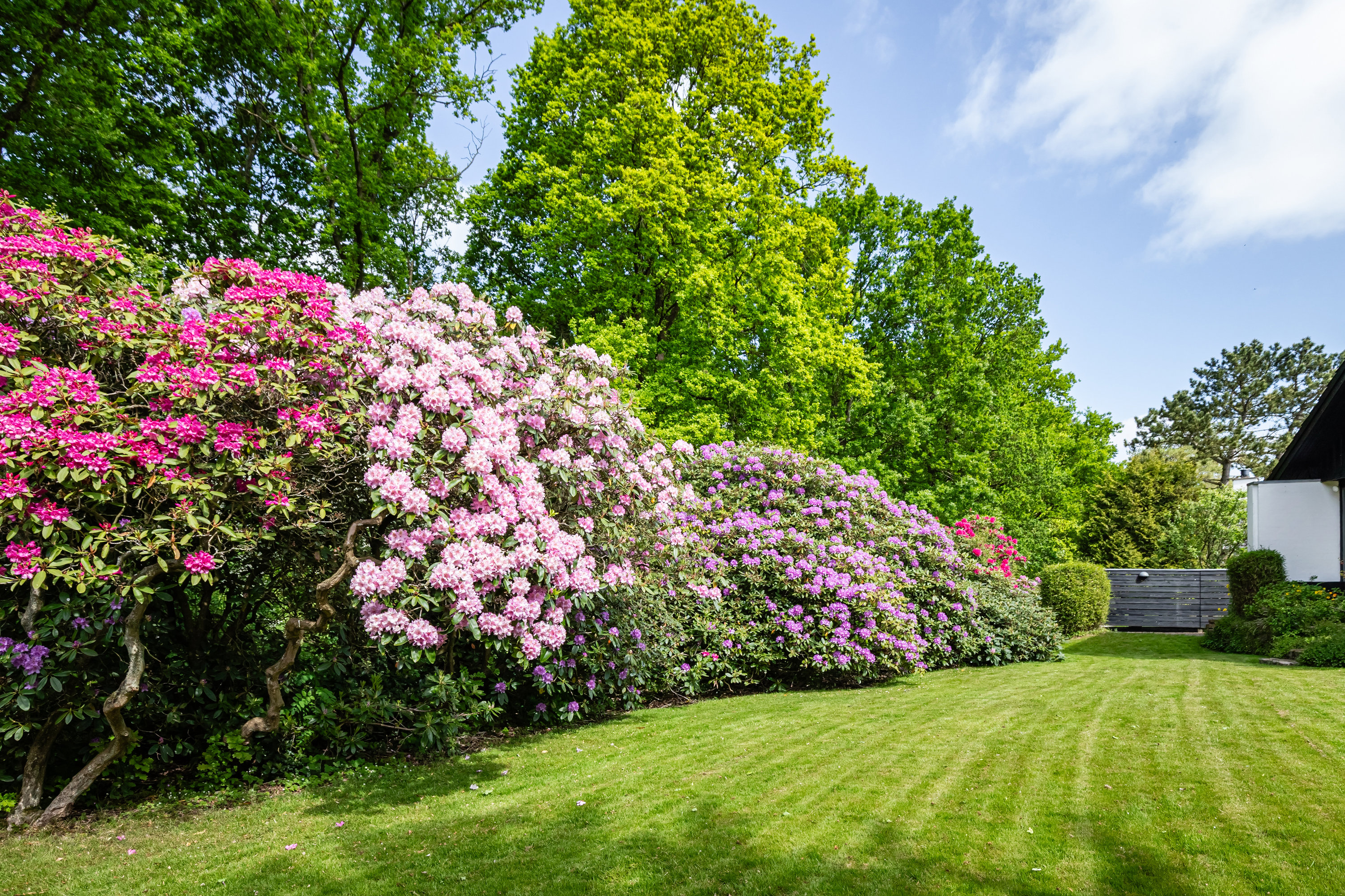 Fremhævet have billede i fuldskærmstilstand. Billede af Heimdalsvej 15, 6000 Kolding