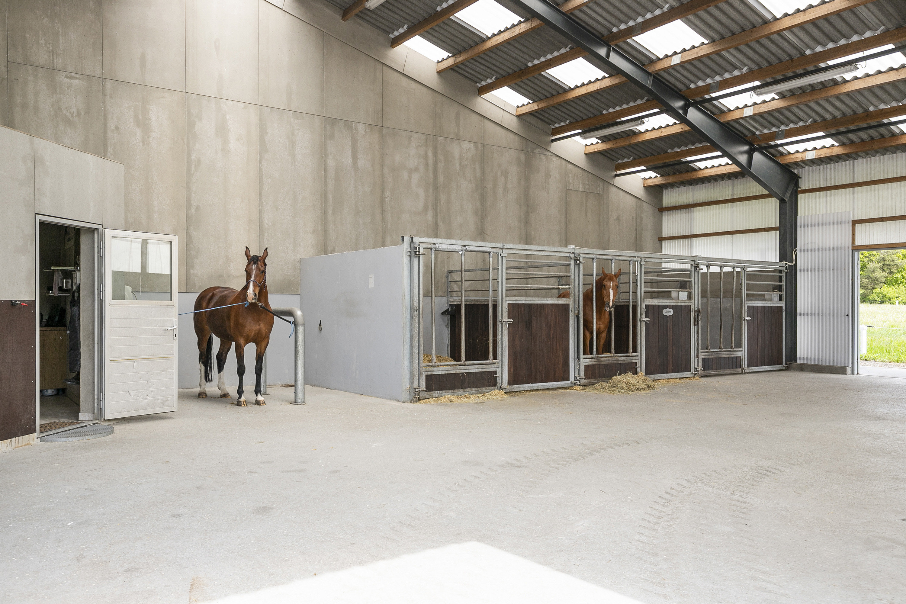 Fremhævet stald billede i fuldskærmstilstand. Billede af Gunderstedvej 3, 9600 Aars