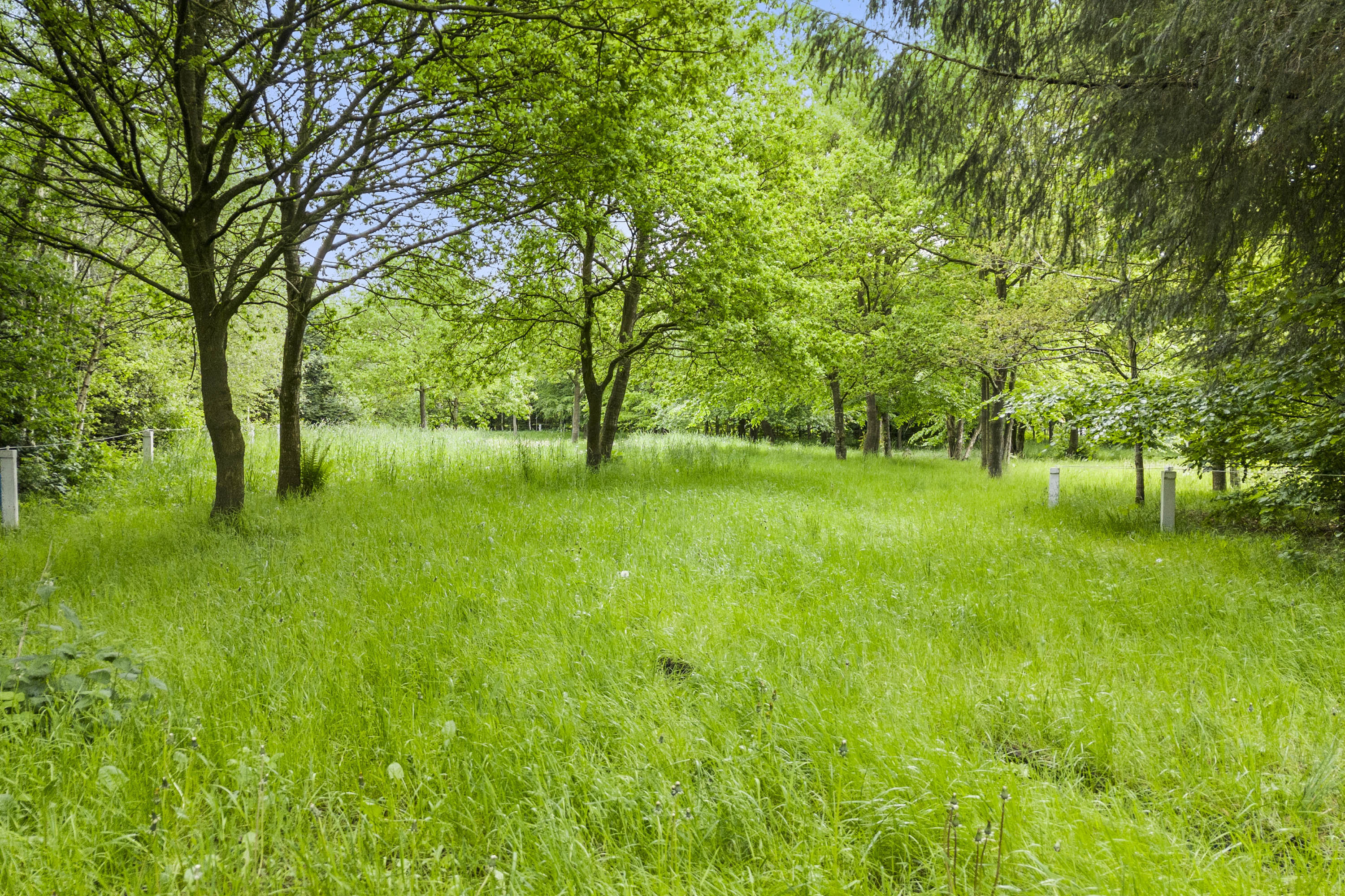 Fremhævet grunden billede i fuldskærmstilstand. Billede af Gunderstedvej 3, 9600 Aars