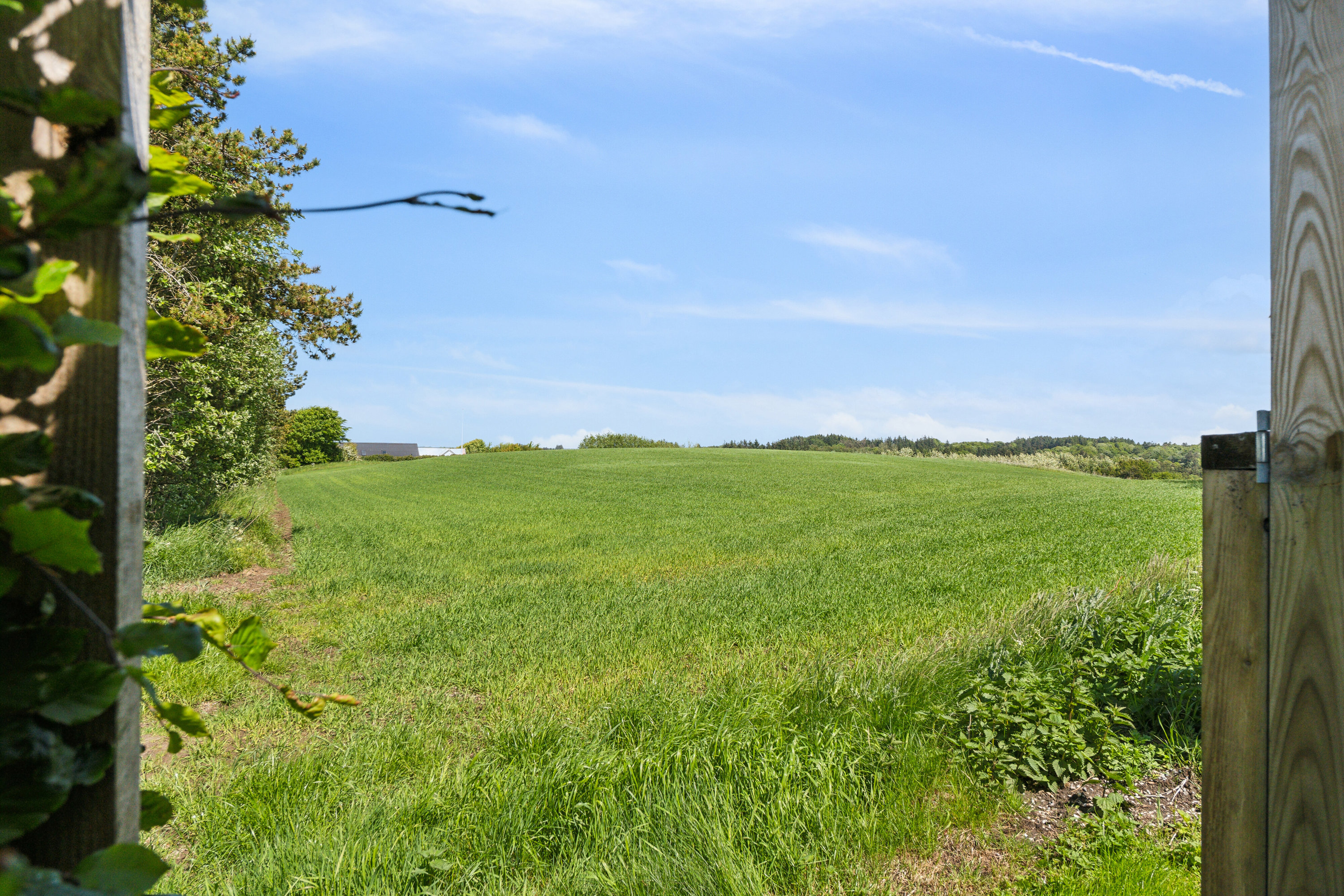 Fremhævet havudsigt billede i fuldskærmstilstand. Billede af Skagen Landevej 332, Bjergby, 9800 Hjørring