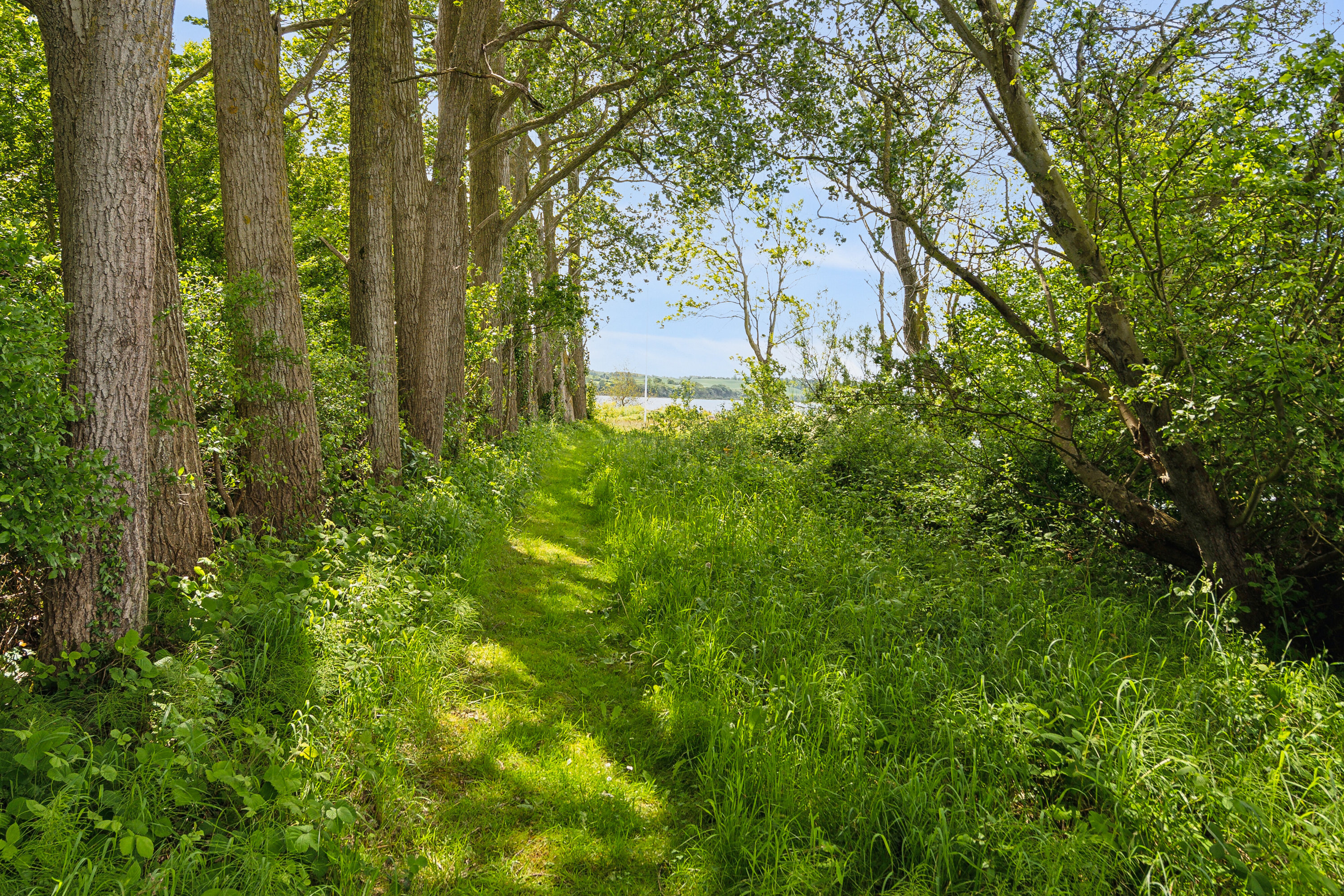 Miniaturebillede 1: set fra haven. Billede af Varnæshoved 4, Varnæs, 6200 Aabenraa