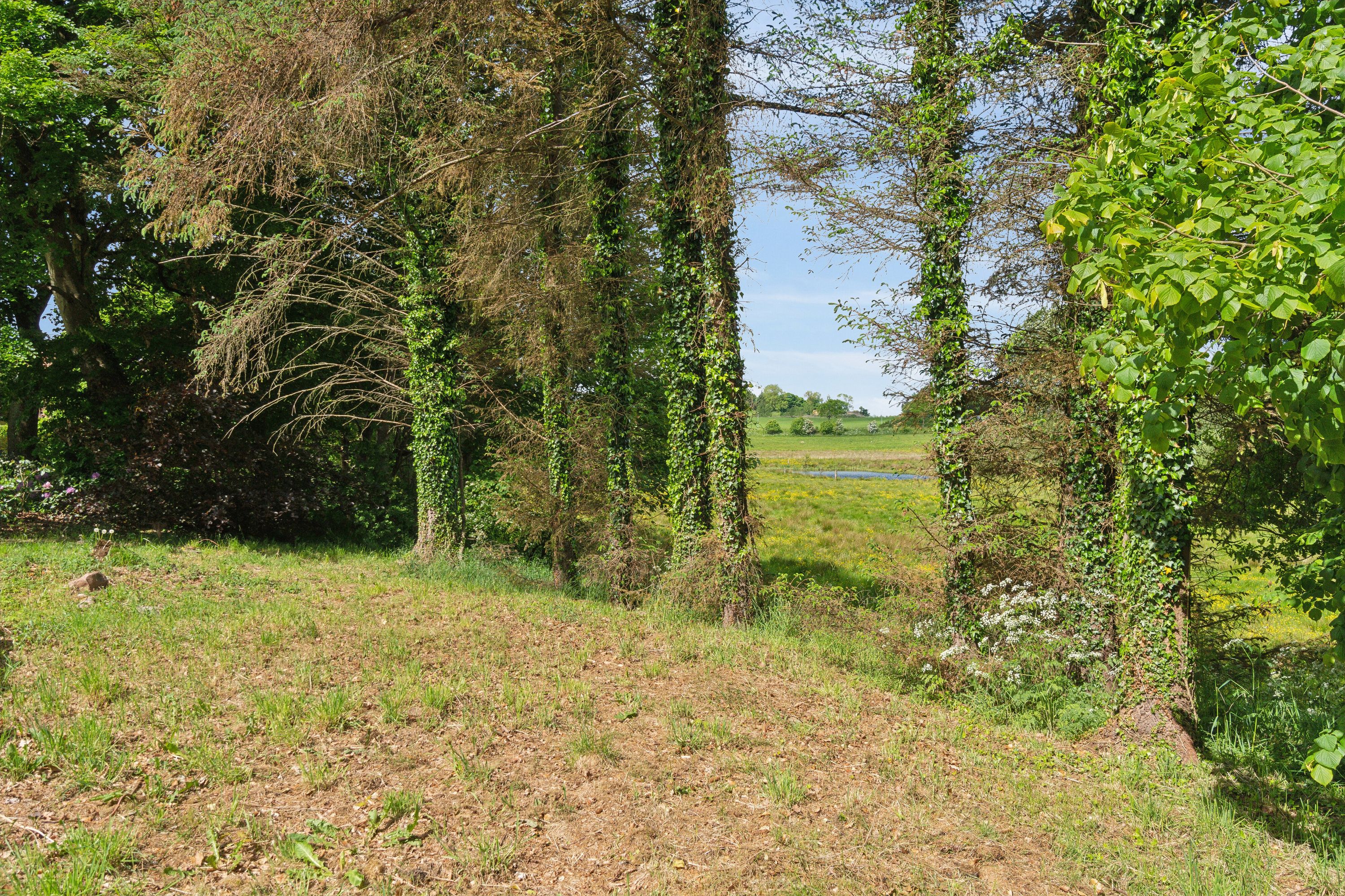 Fremhævet set fra haven billede i fuldskærmstilstand. Billede af Skovvej 19, Thorning, 8620 Kjellerup