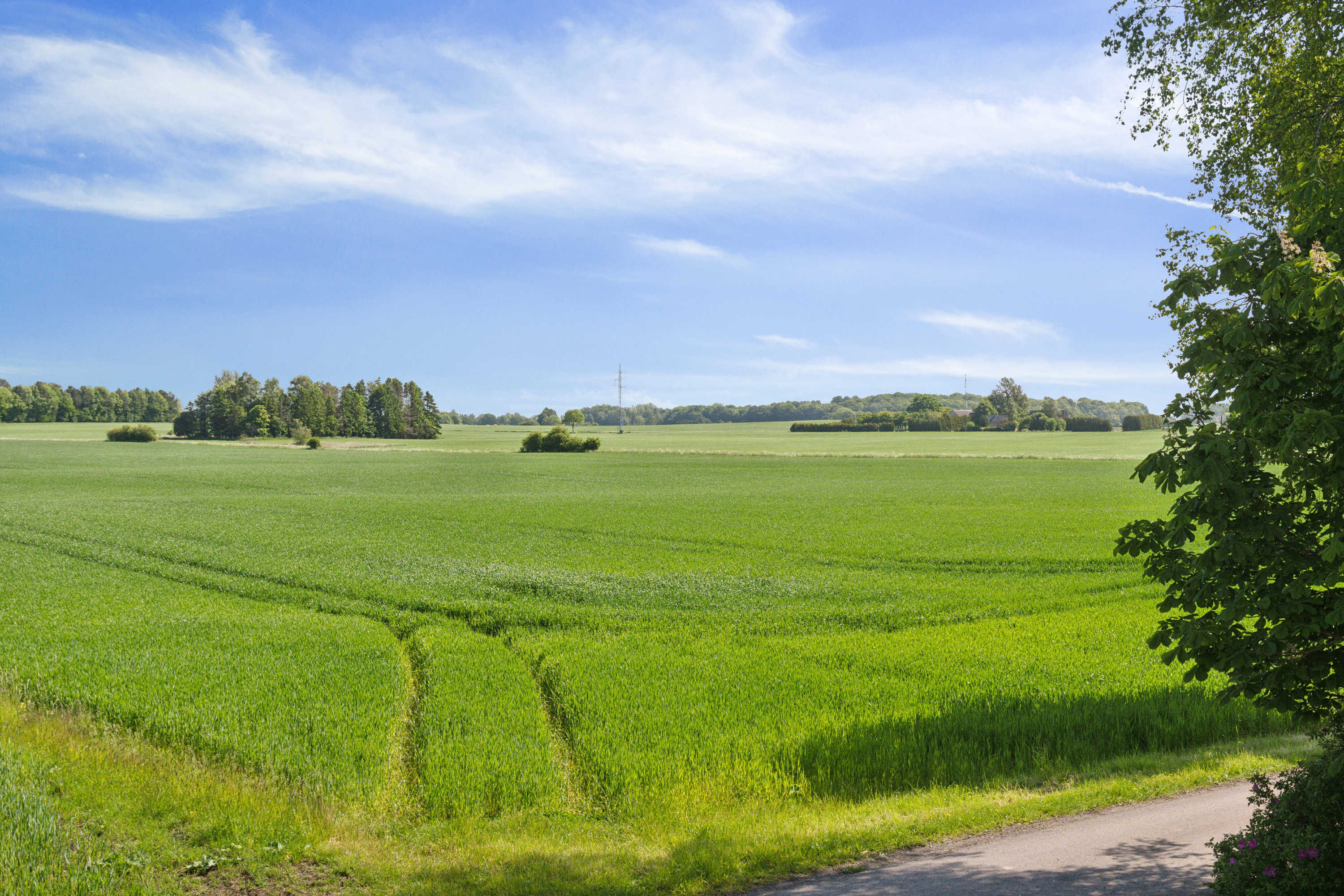 Fremhævet udsigt billede i fuldskærmstilstand. Billede af Skårenvej 27, Vallensved, 4700 Næstved