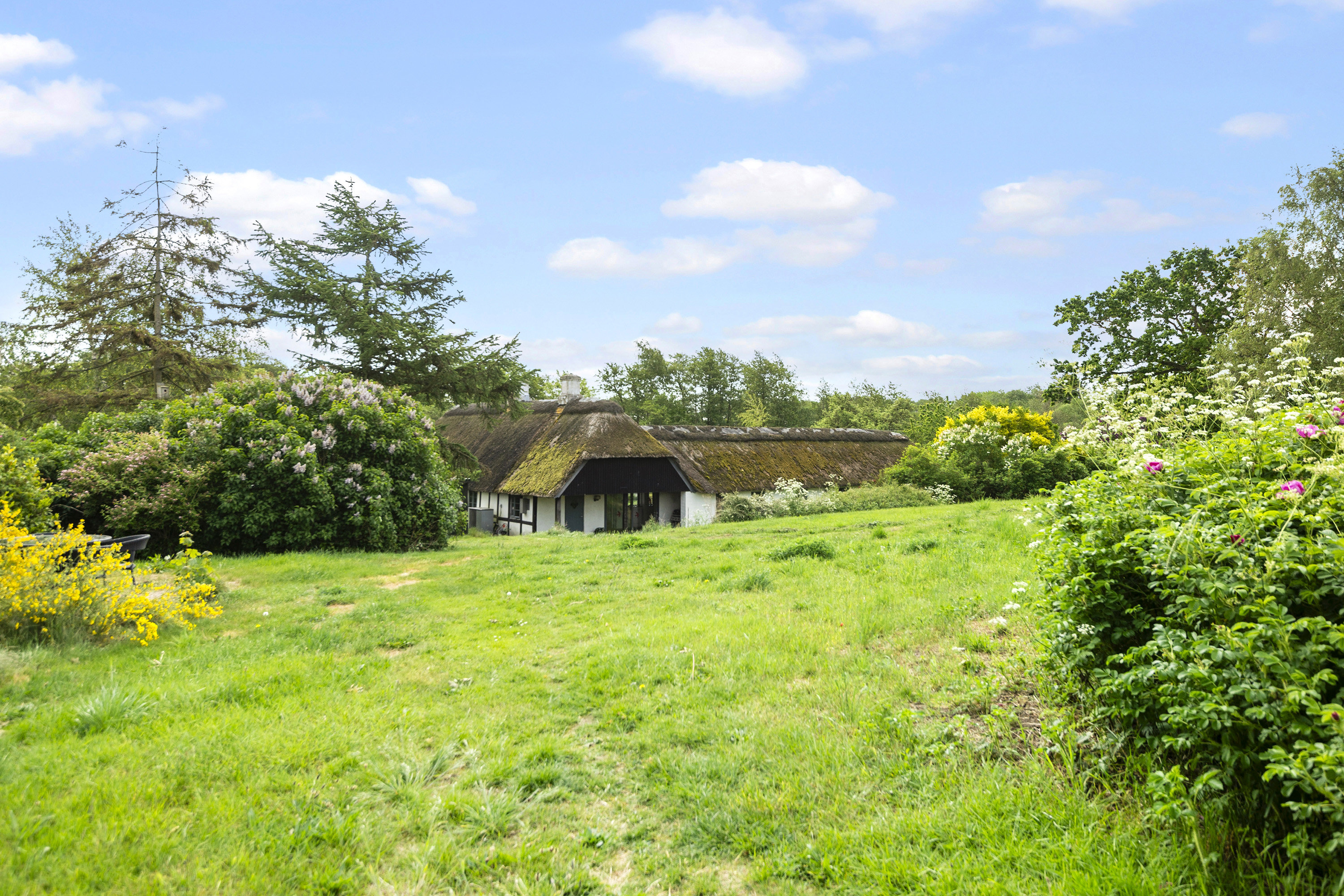 Fremhævet område billede i fuldskærmstilstand. Billede af Alrøvej 160, Amstrup, 8300 Odder