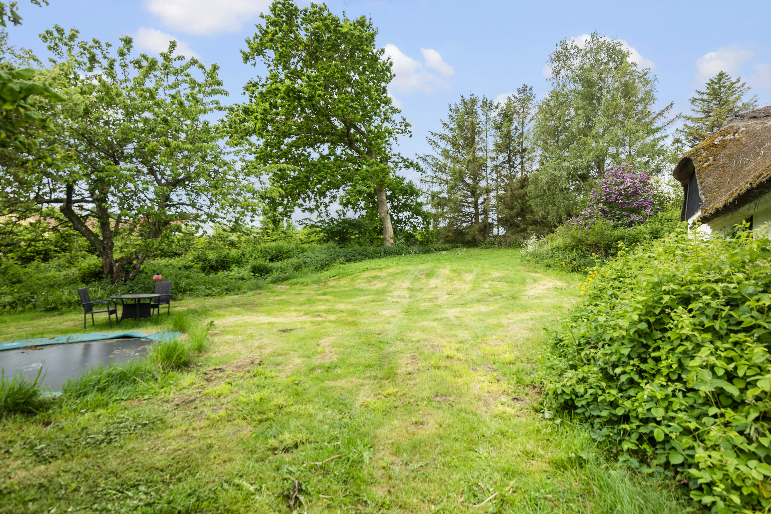 Fremhævet område billede i fuldskærmstilstand. Billede af Alrøvej 160, Amstrup, 8300 Odder