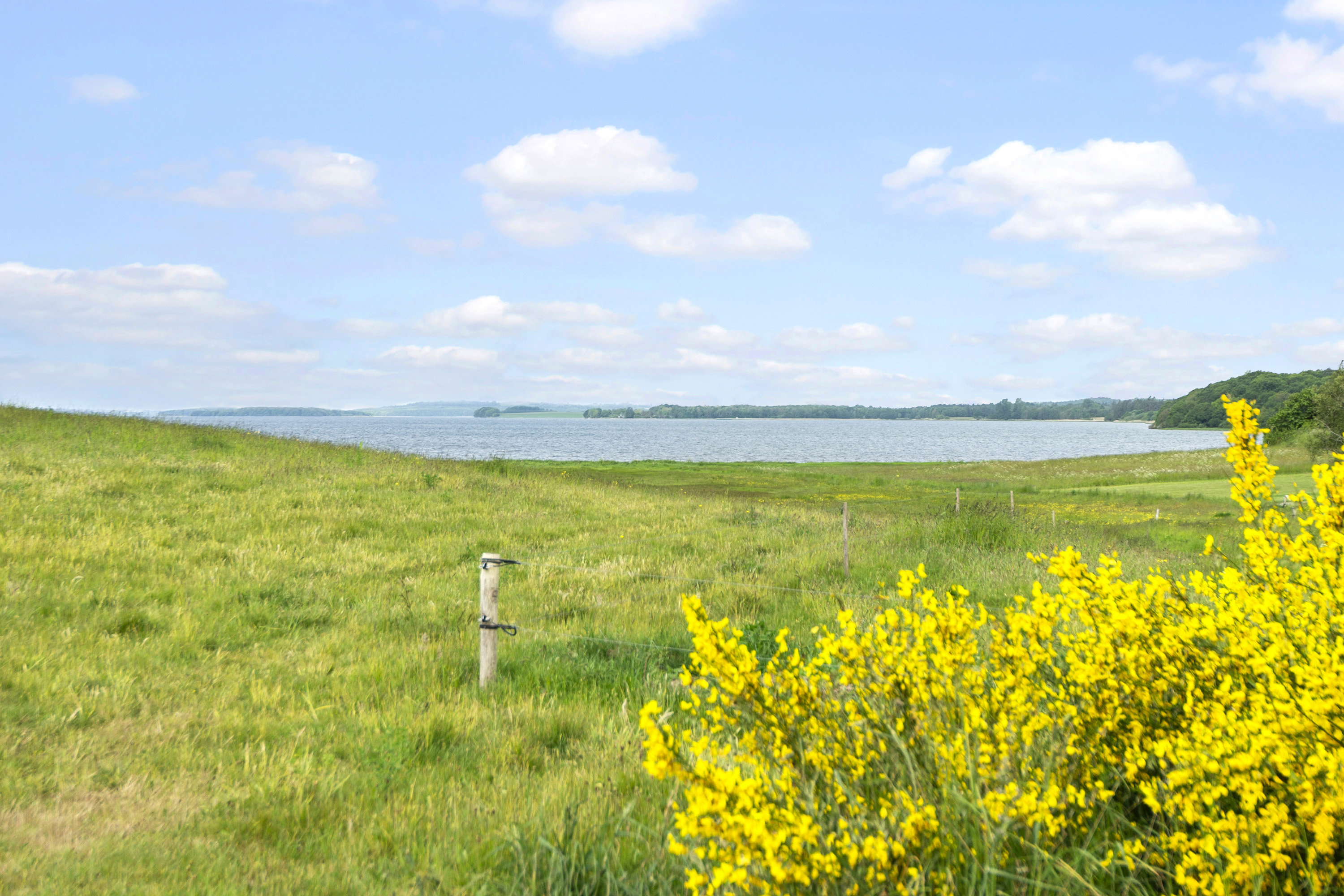 Miniaturebillede 2: område. Billede af Alrøvej 160, Amstrup, 8300 Odder