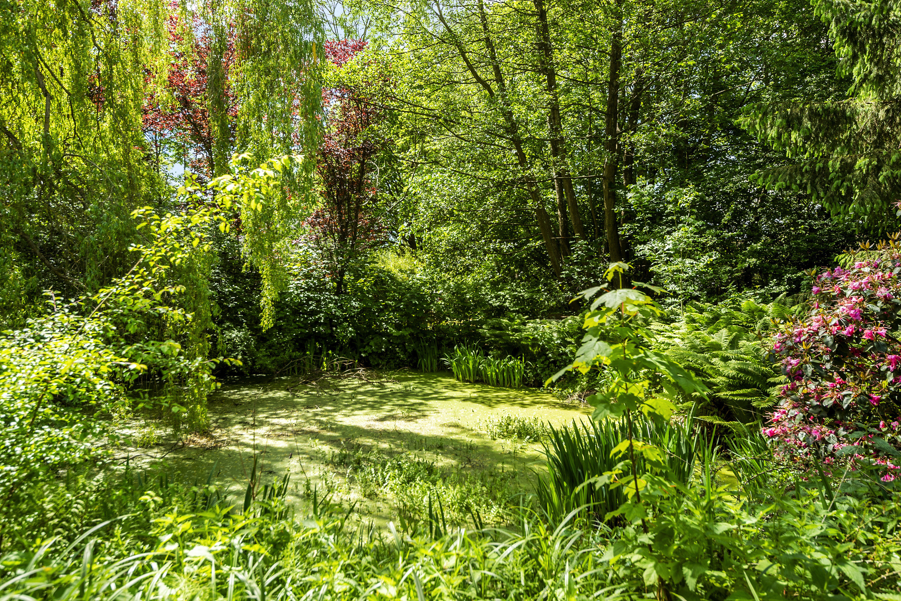 Fremhævet område billede i fuldskærmstilstand. Billede af Svinballevej 45+47, Sondrup, 8350 Hundslund