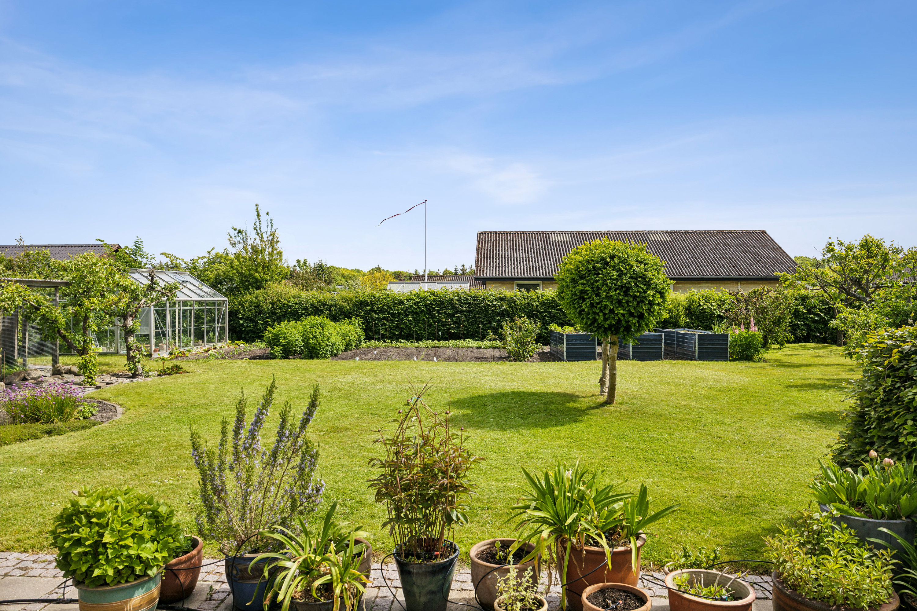 Miniaturebillede 1: have. Billede af Terpsvej 10, Birkelse, 9440 Aabybro