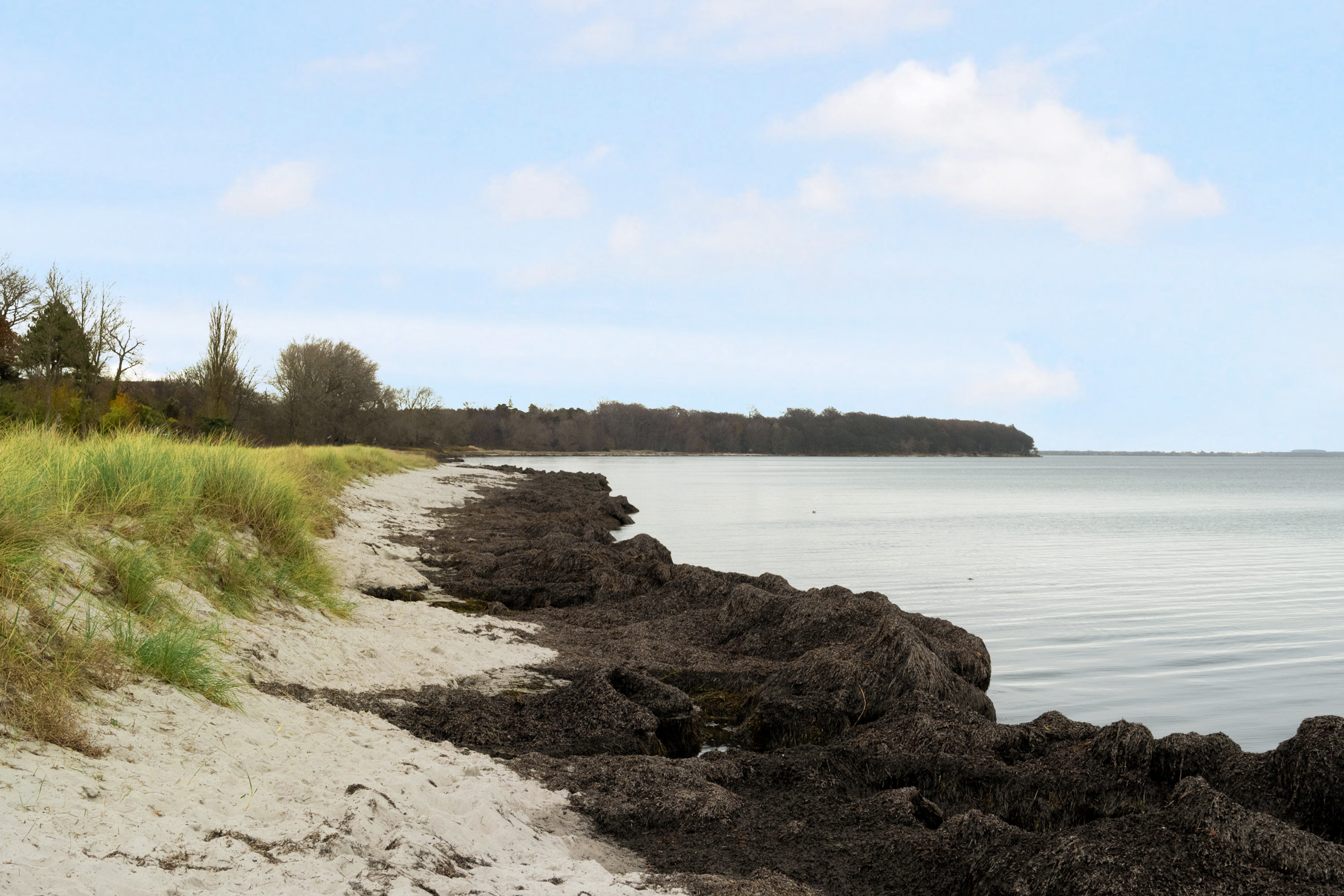 Fremhævet  billede i fuldskærmstilstand. Billede af Øster Søvej 7, 4654 Faxe Ladeplads