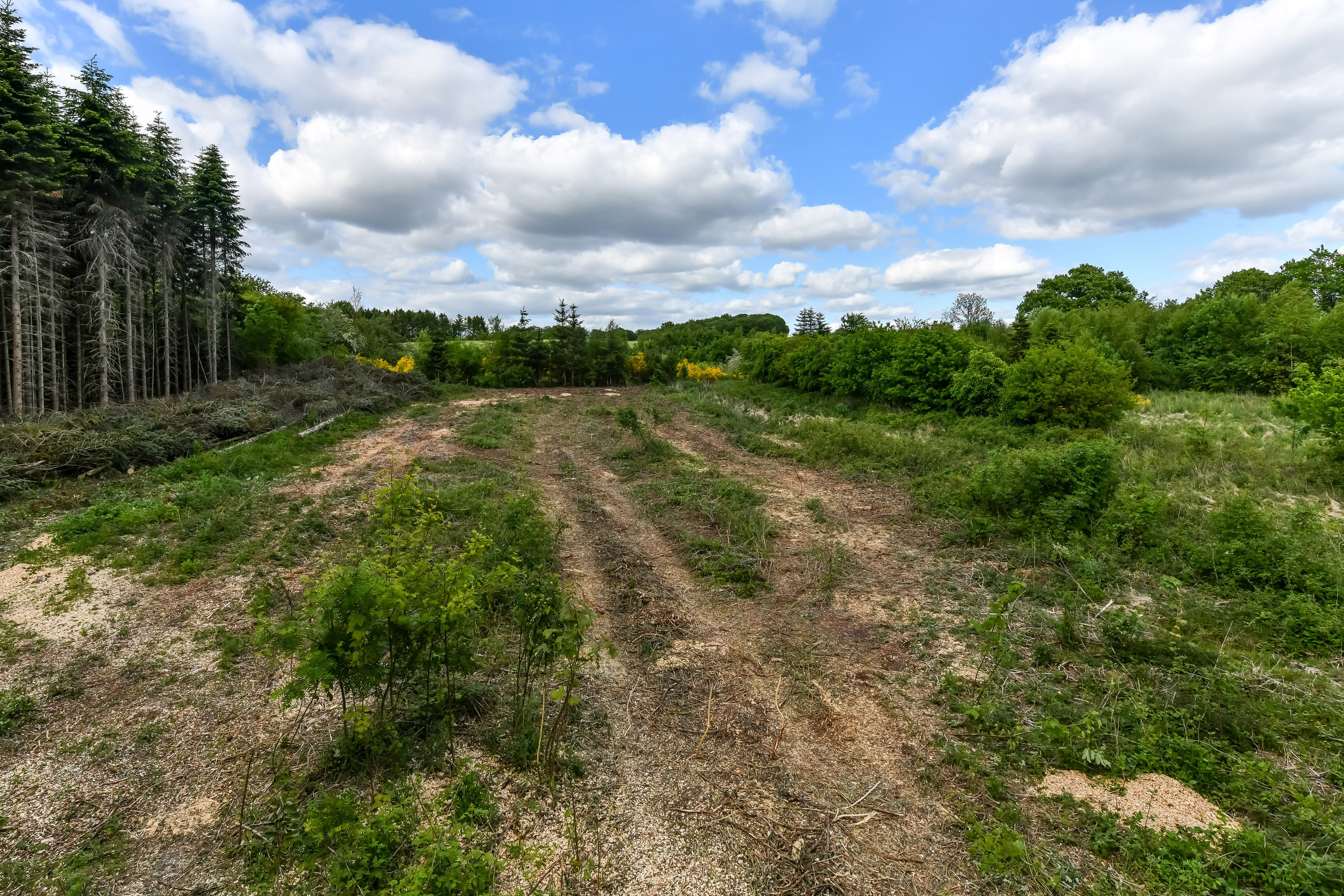 Fremhævet område billede i fuldskærmstilstand. Billede af Gødsbølvej 69, Åst, 7184 Vandel