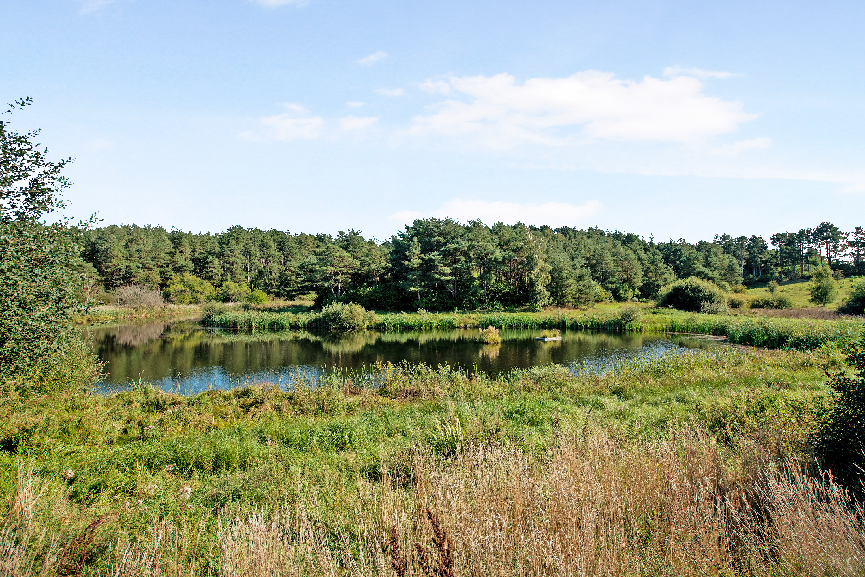 Fremhævet  billede i fuldskærmstilstand. Billede af Toftevej 26, Egsmarklund, 8400 Ebeltoft