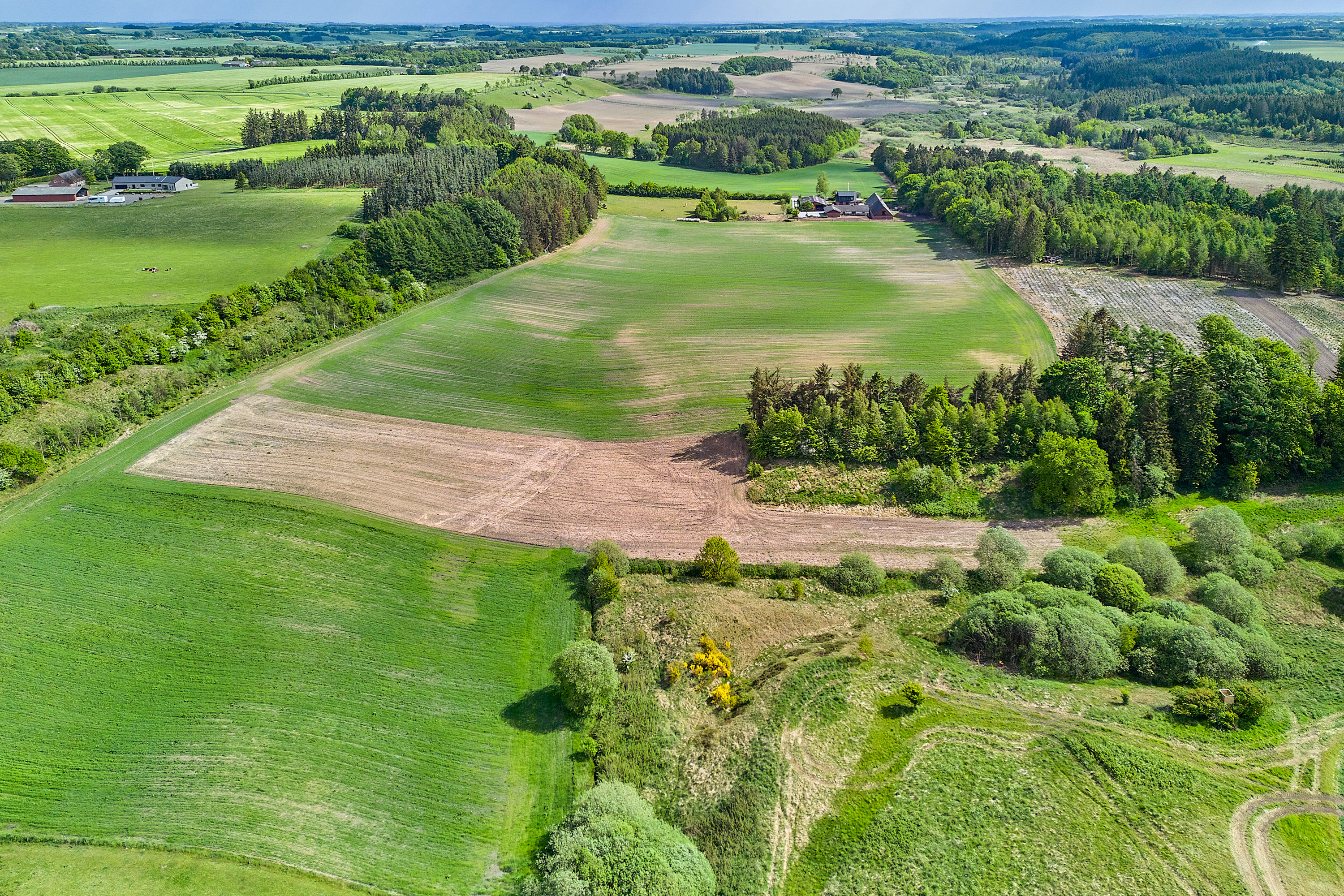 Fremhævet  billede i fuldskærmstilstand. Billede af Vingumvej 14, Vingum, 8740 Brædstrup