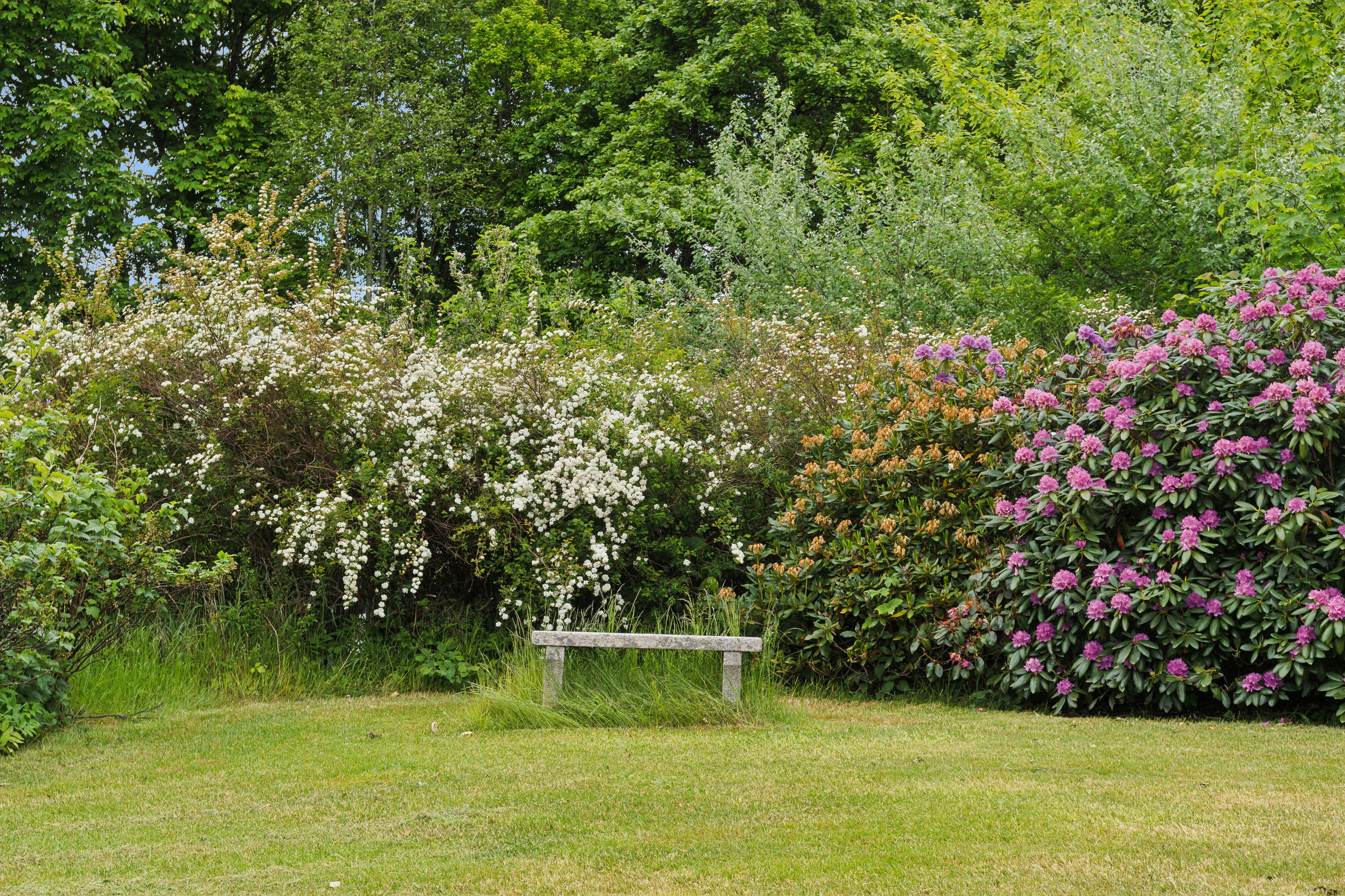 Fremhævet udendørs billede i fuldskærmstilstand. Billede af Tvorupvej 38, Tvorup, 7700 Thisted