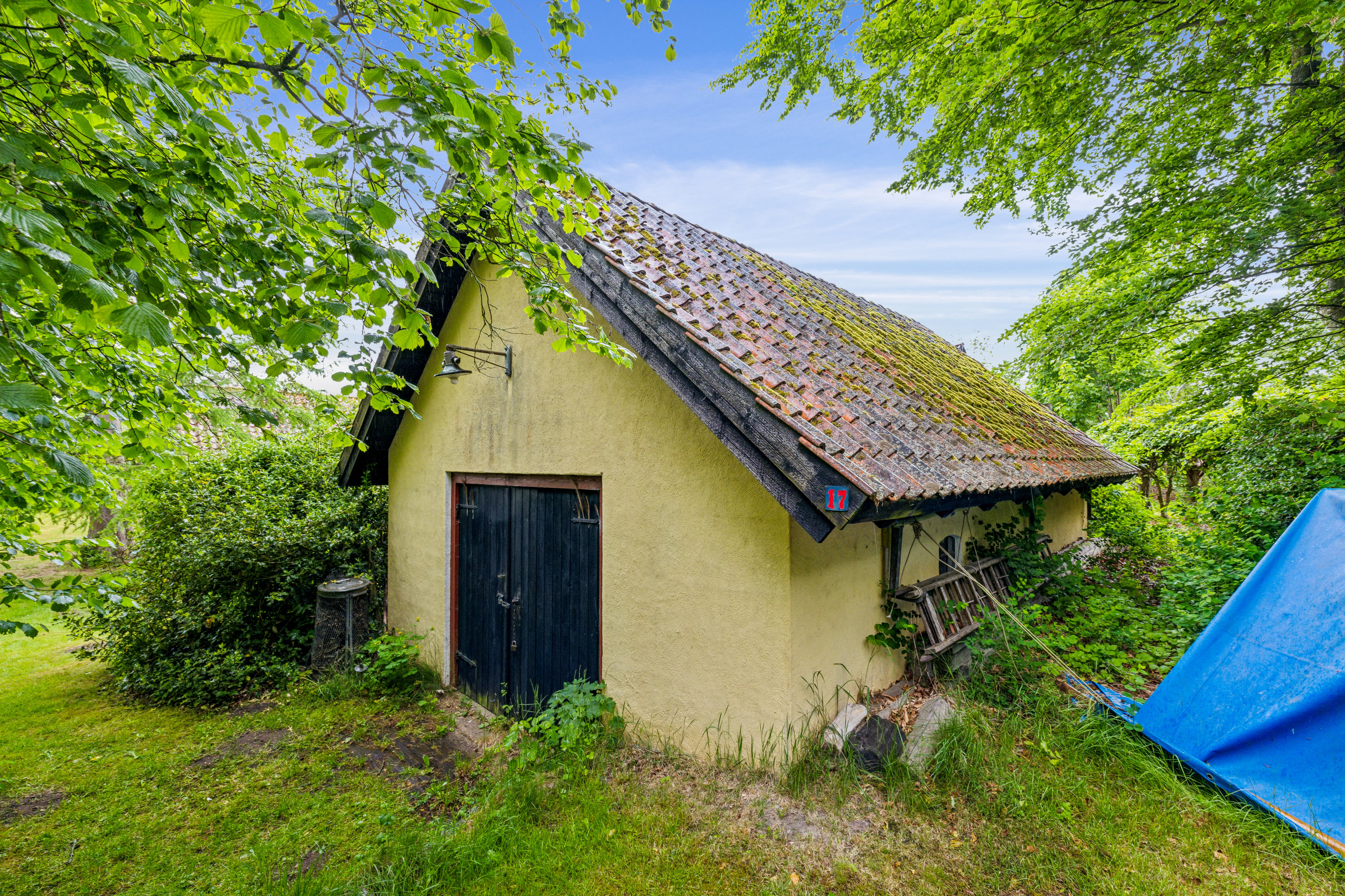 Fremhævet have billede i fuldskærmstilstand. Billede af Astrupvej 17, Mesballe, 8550 Ryomgård