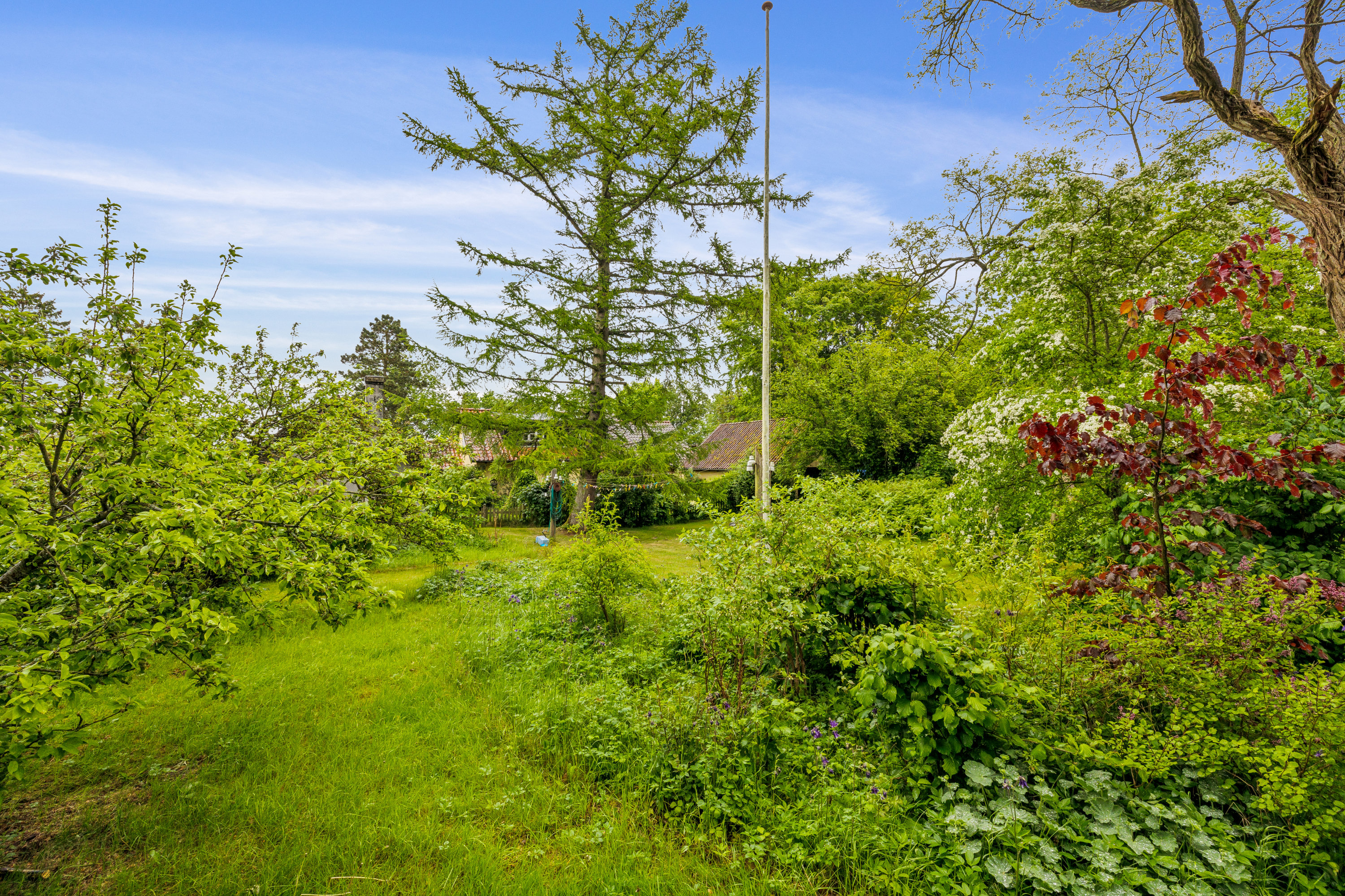 Fremhævet have billede i fuldskærmstilstand. Billede af Astrupvej 17, Mesballe, 8550 Ryomgård