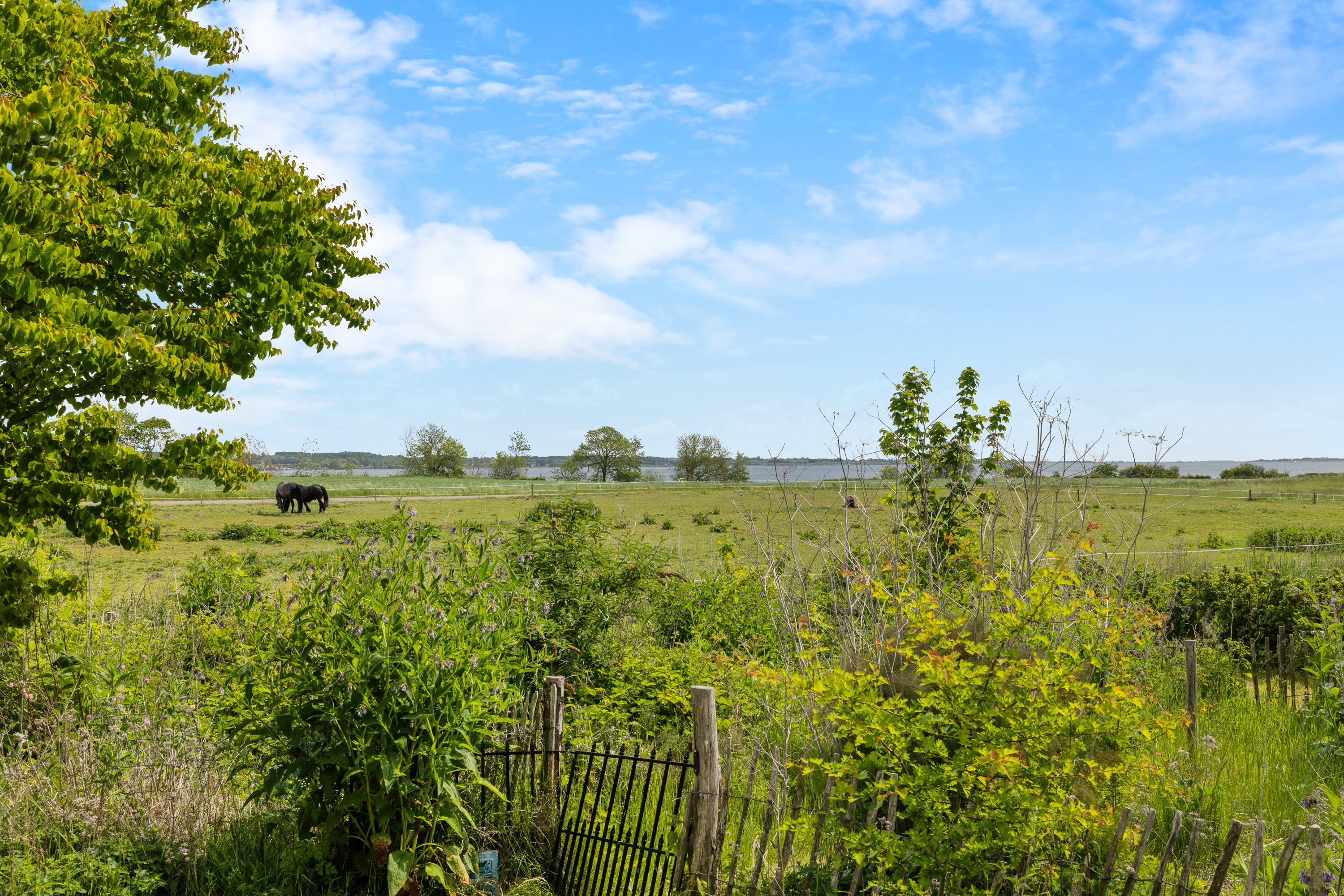 Fremhævet udsigt billede i fuldskærmstilstand. Billede af Bjerne Langgyde 10, 5600 Faaborg