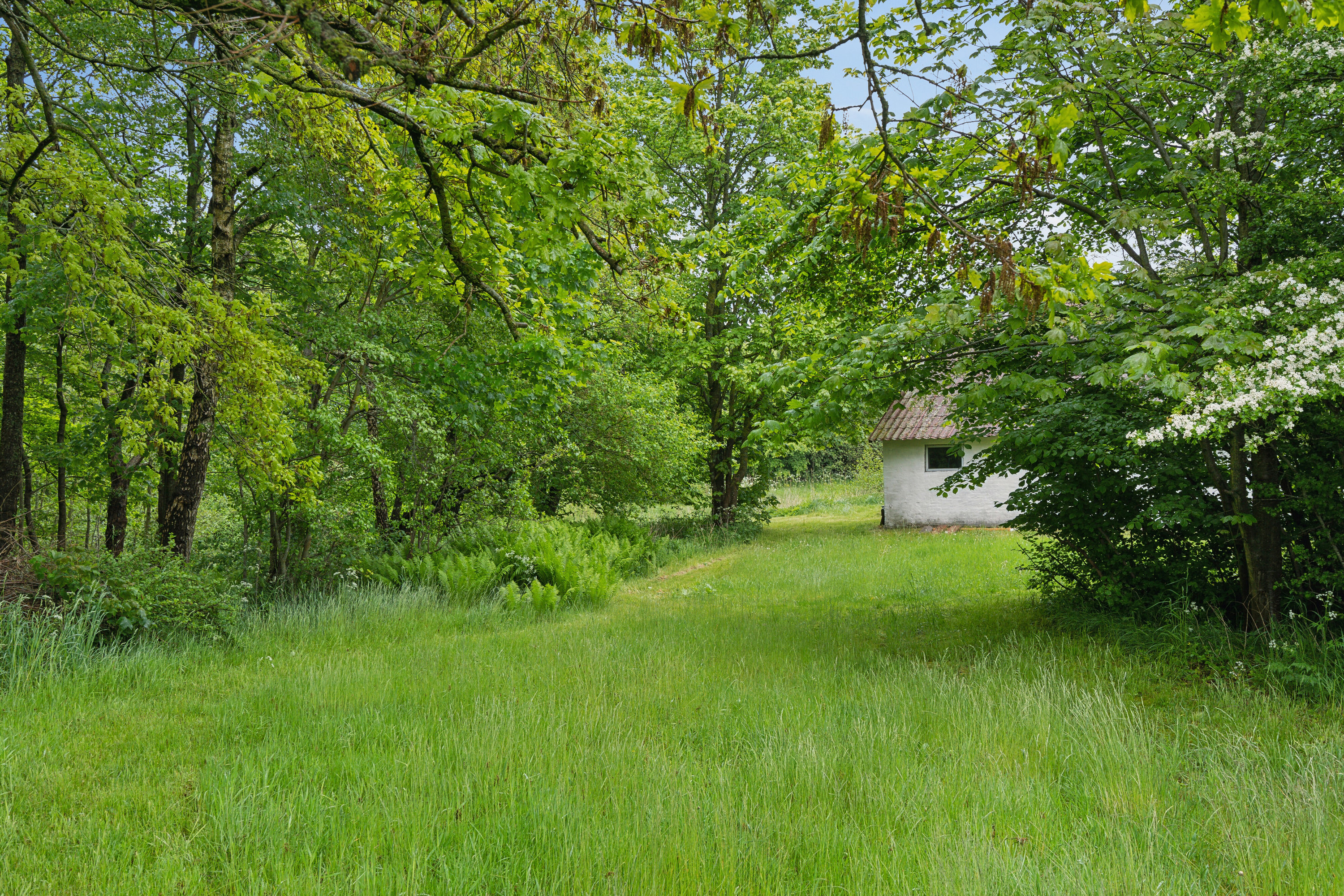 Fremhævet have billede i fuldskærmstilstand. Billede af Tverstedvej 25, Uggerby, 9800 Hjørring