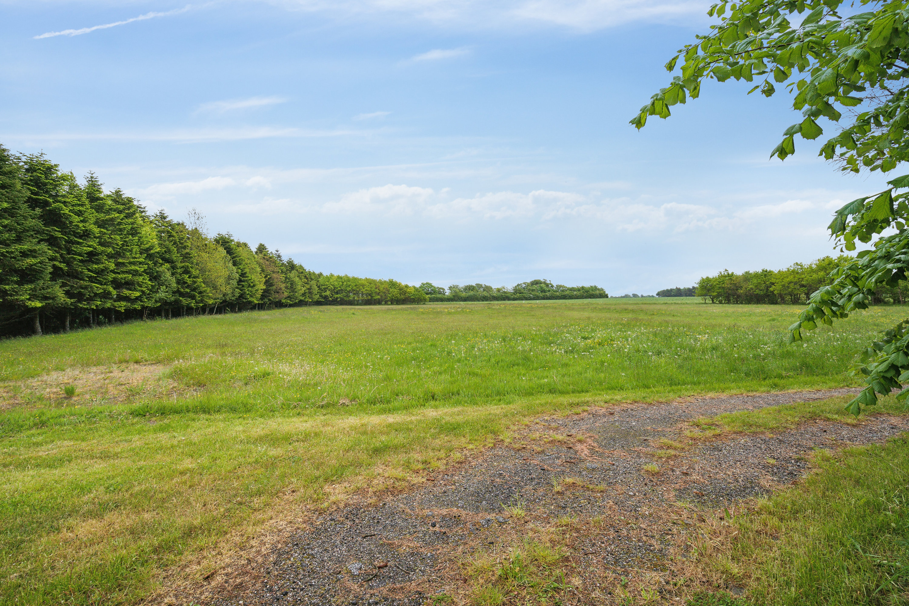 Fremhævet have billede i fuldskærmstilstand. Billede af Tverstedvej 25, Uggerby, 9800 Hjørring