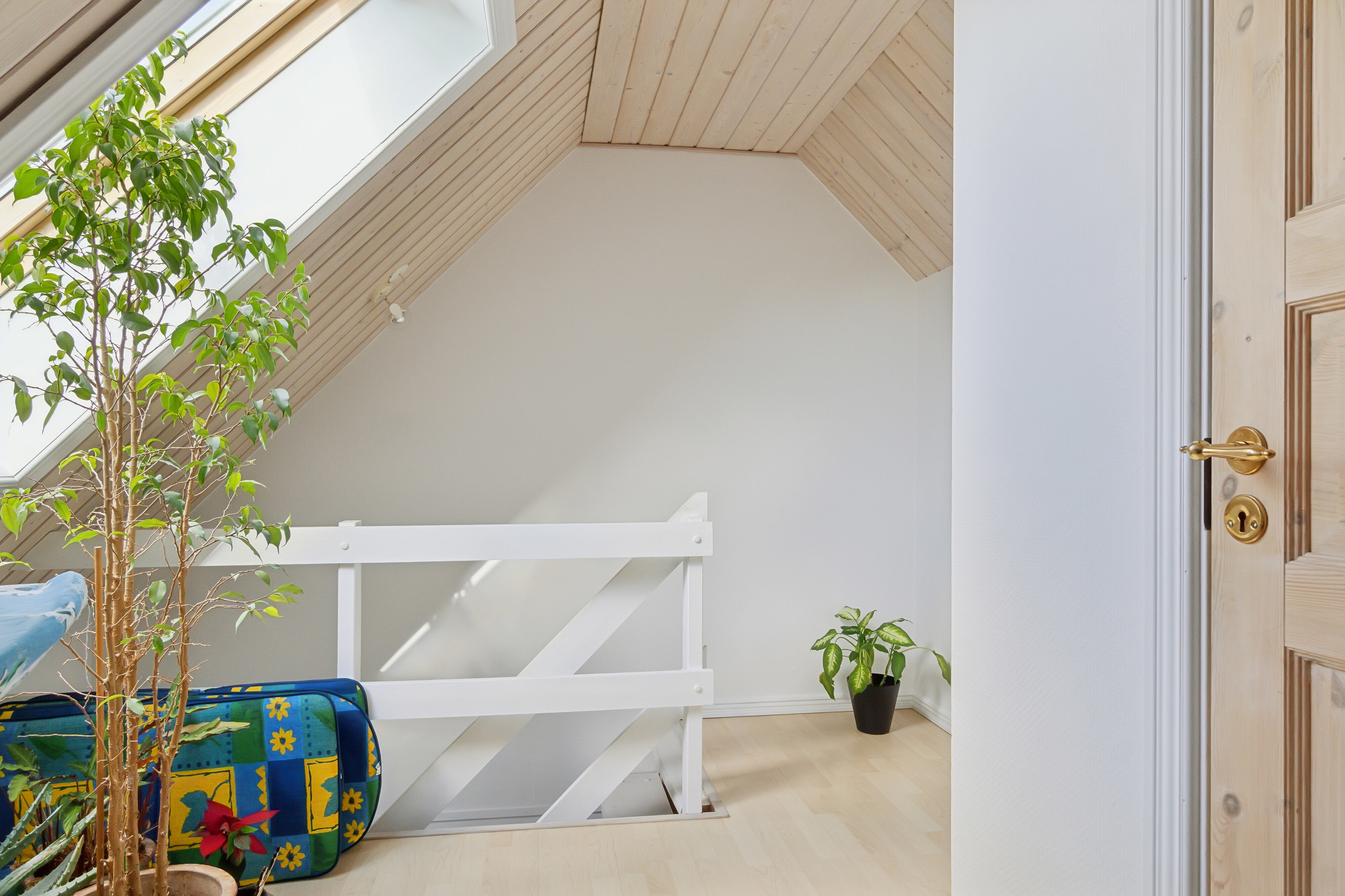 Fremhævet værelse billede i fuldskærmstilstand. Billede af Vorupørvej 202, Hundborg, 7700 Thisted