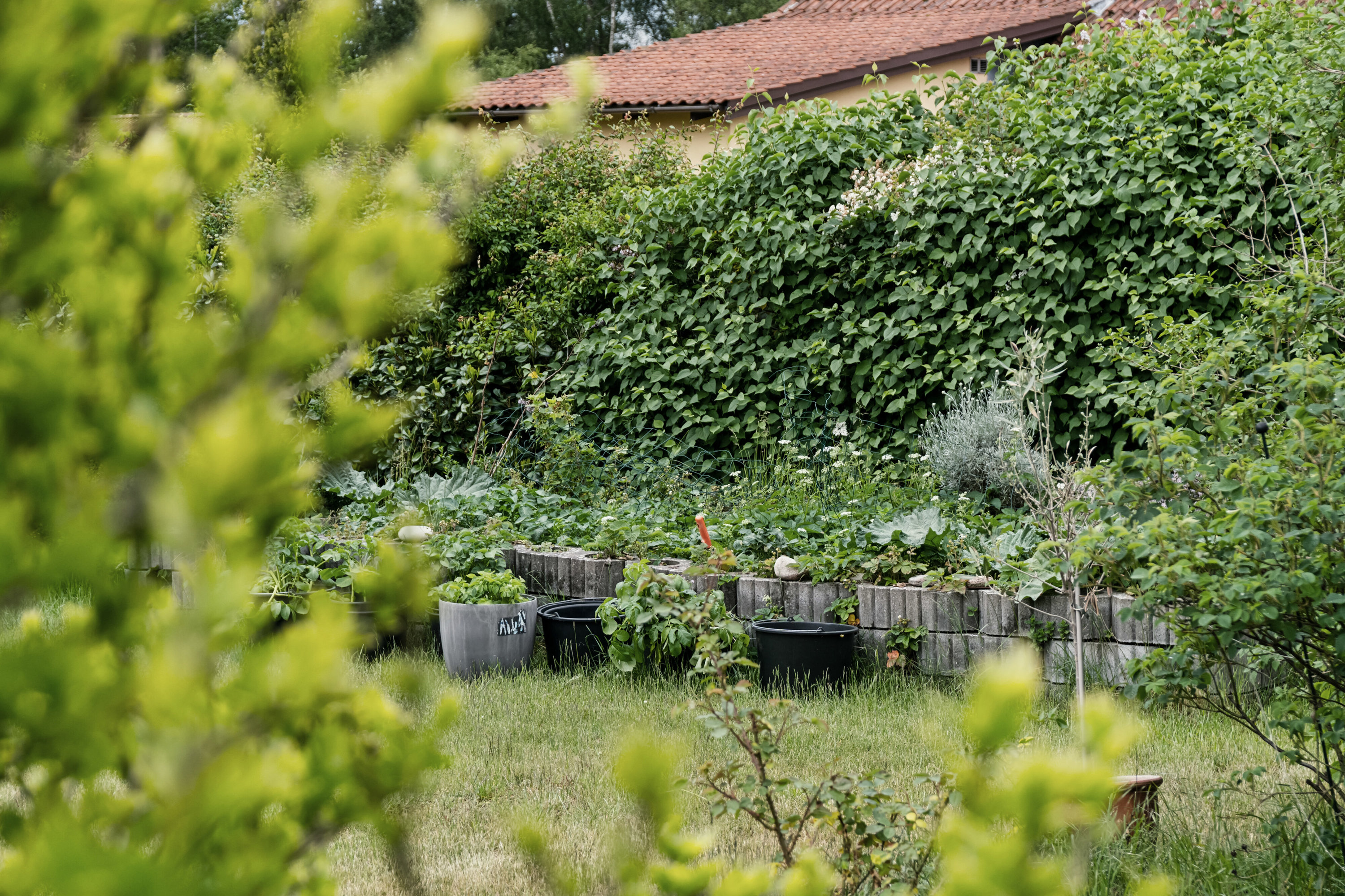 Fremhævet set fra haven billede i fuldskærmstilstand. Billede af Møllebakken 23, 4581 Rørvig