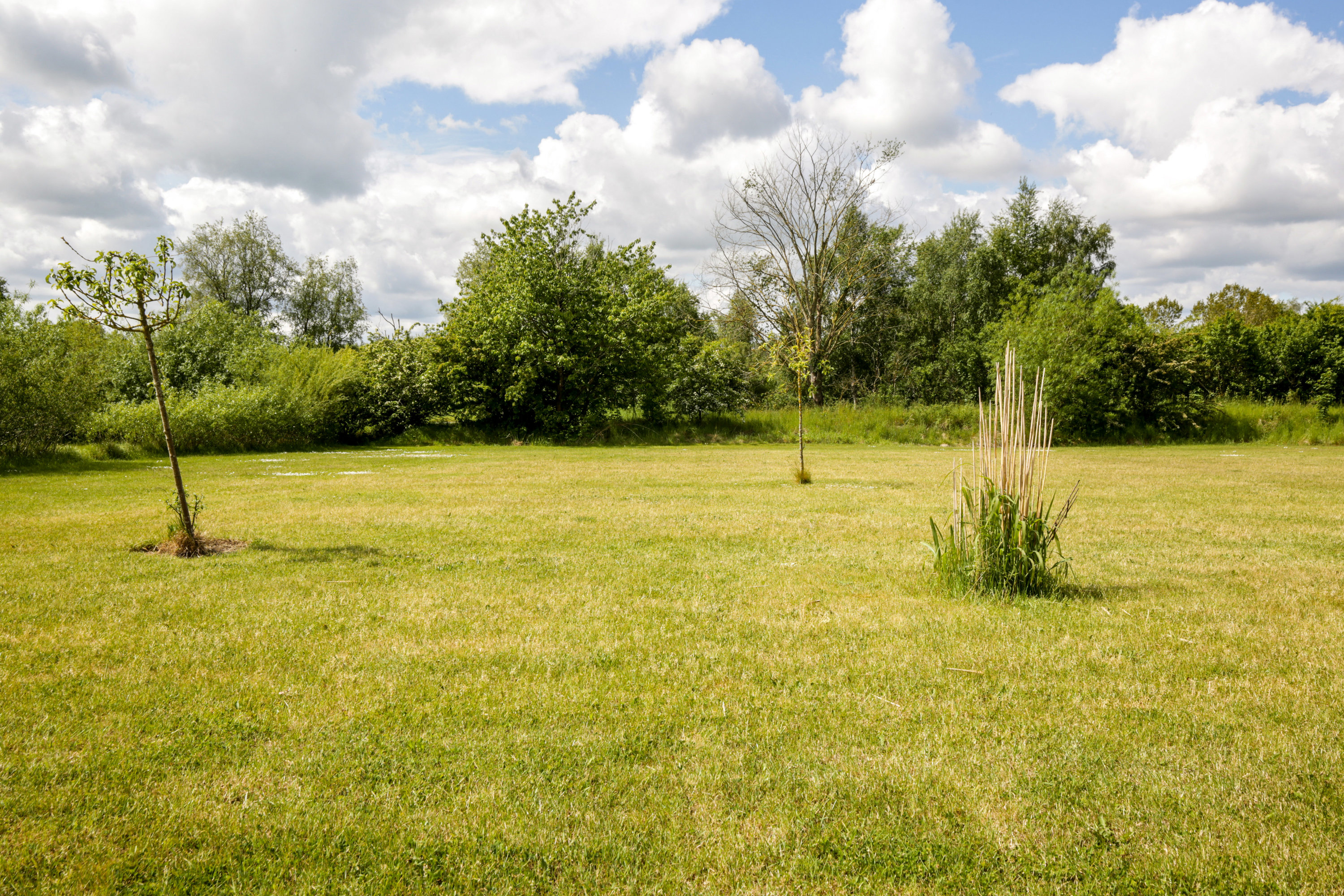 Fremhævet have billede i fuldskærmstilstand. Billede af Storegade 59, Pindstrup, 8550 Ryomgård