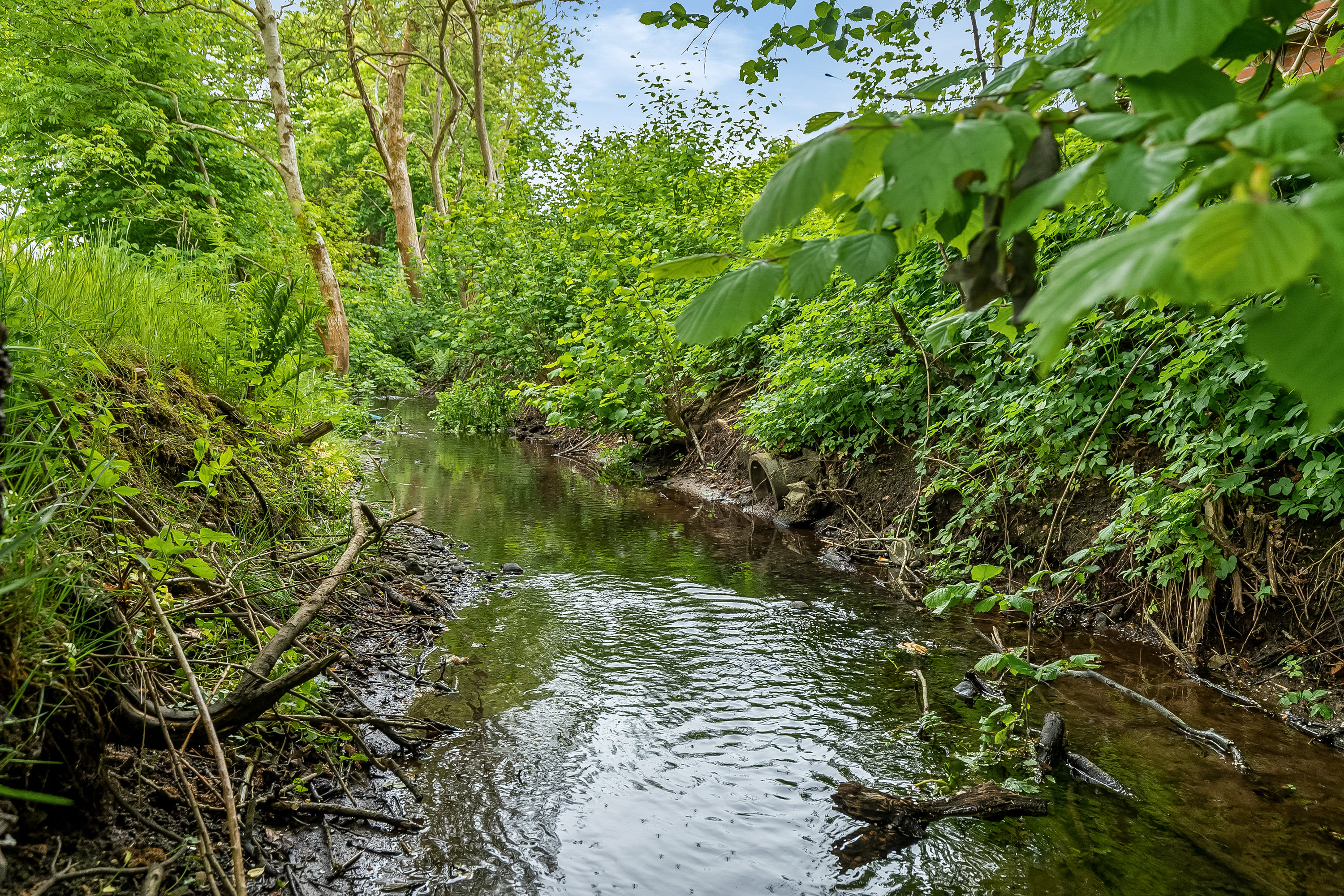 Fremhævet området billede i fuldskærmstilstand. Billede af Vesterbyvej 9B, Ødsted, 7100 Vejle