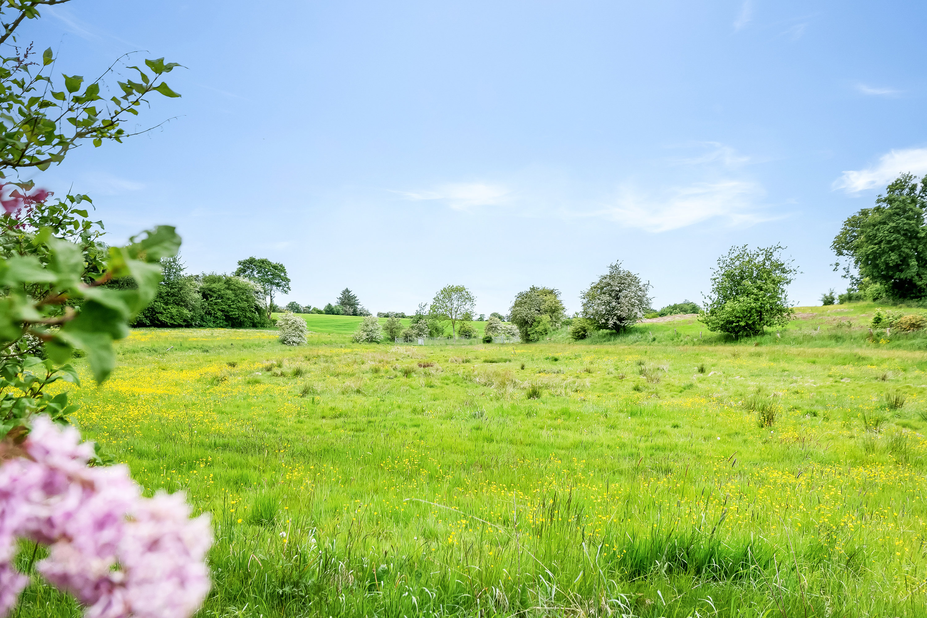 Miniaturebillede 2: udsigt. Billede af Vesterbyvej 9B, Ødsted, 7100 Vejle