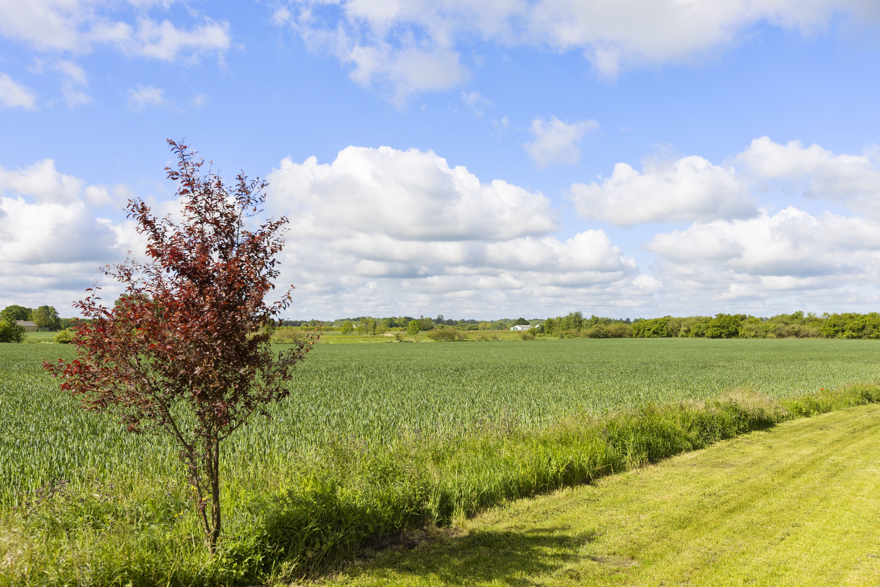 Fremhævet udsigt billede i fuldskærmstilstand. Billede af Nødbrøndsvej 15A, Døjringe, 4180 Sorø
