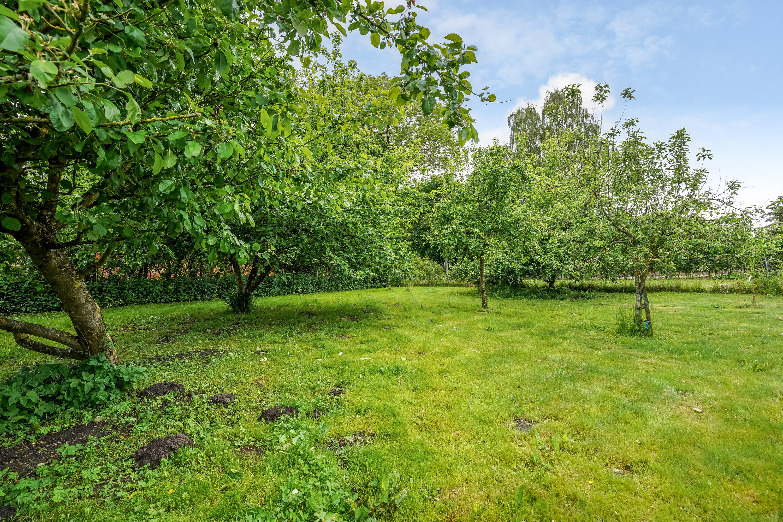 Miniaturebillede 2: have. Billede af Sortenkærvej 40, Gadsbølle, 5492 Vissenbjerg