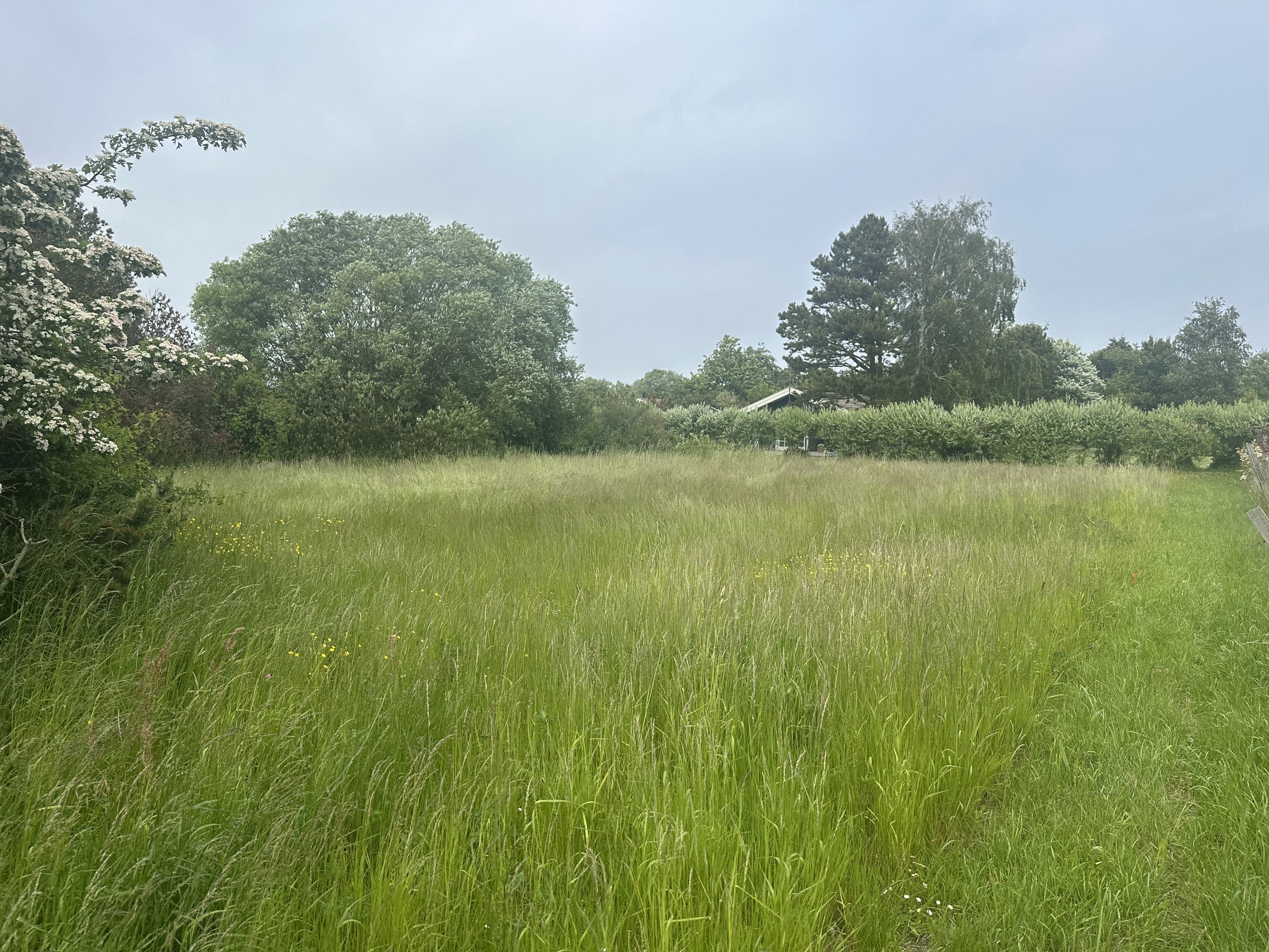 Miniaturebillede 1: . Billede af Mælkebøttevej 10, Ydø, 4900 Nakskov