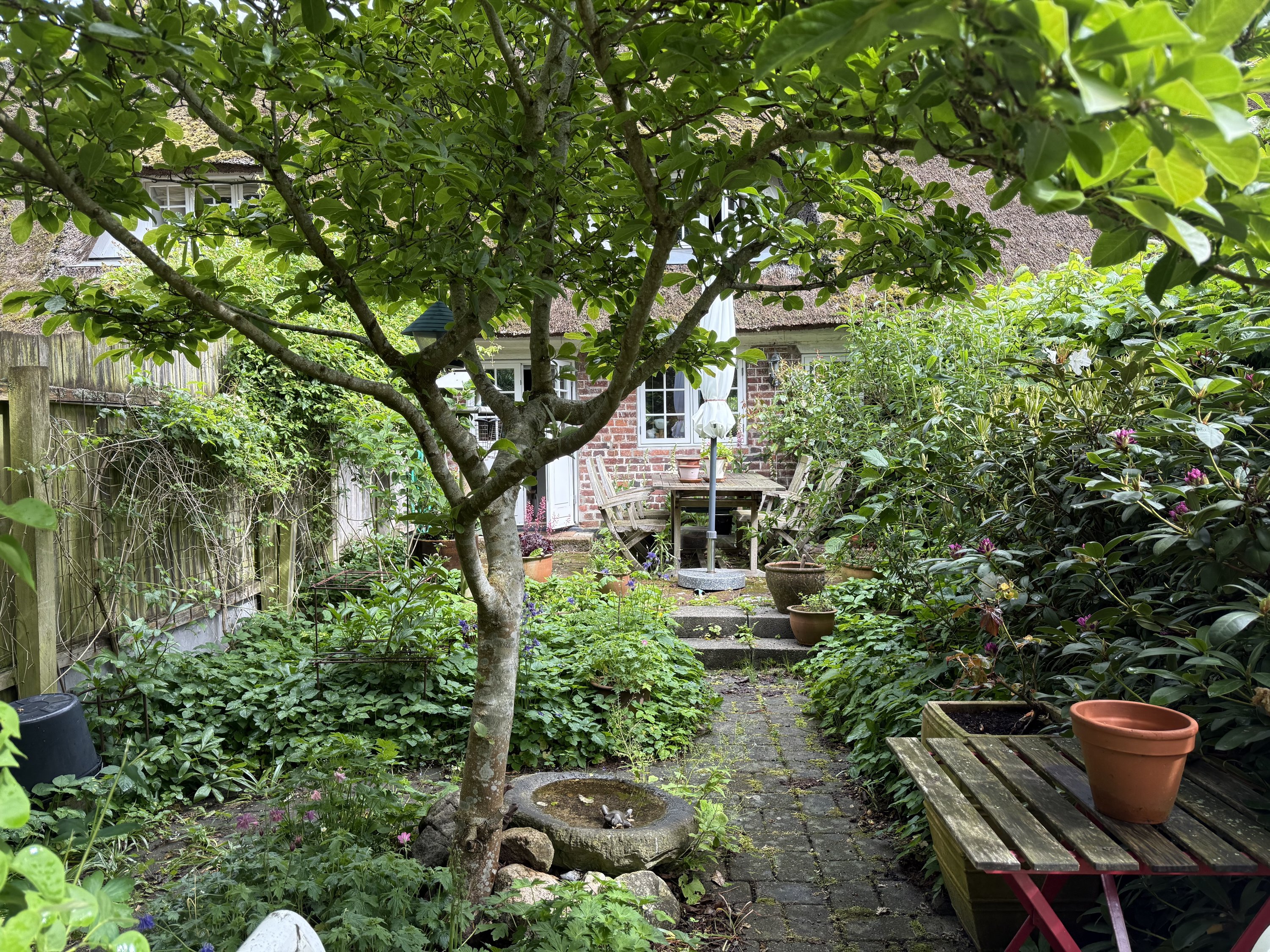 Miniaturebillede 2: . Billede af Møllesti 8, Nordby, 6720 Fanø