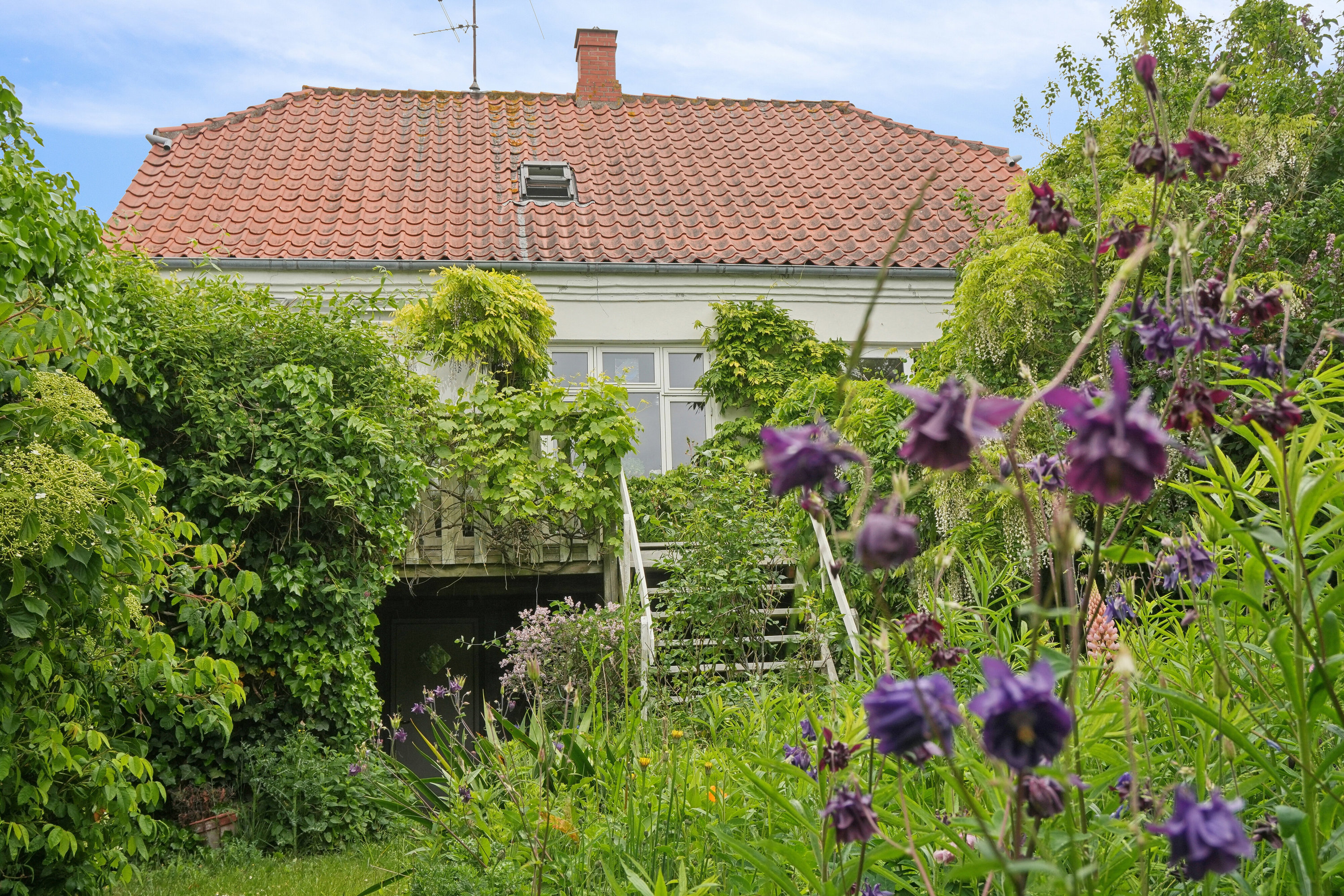 Fremhævet set fra haven billede i fuldskærmstilstand. Billede af Jens Winthers Vej 20, 5900 Rudkøbing