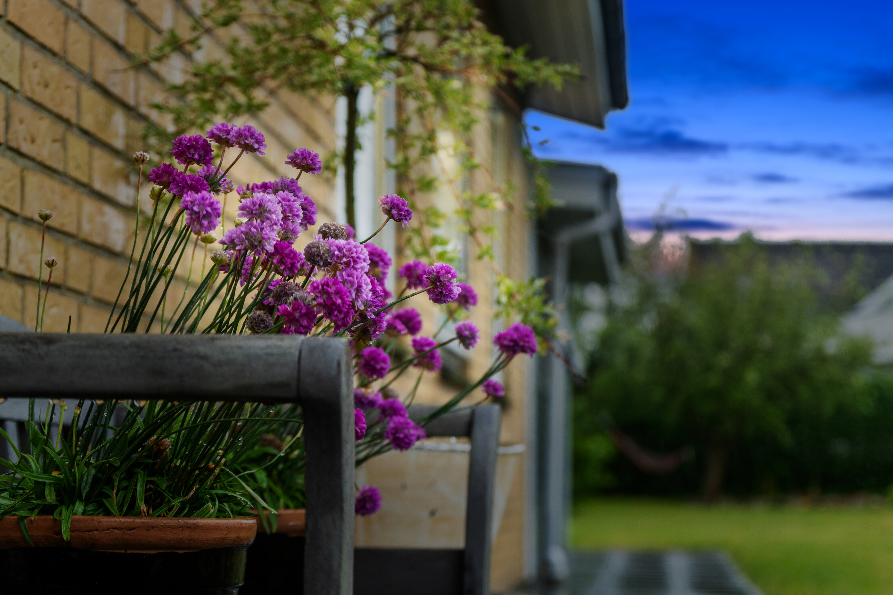 Fremhævet udendørs billede i fuldskærmstilstand. Billede af Fynsgade 34, 9870 Sindal