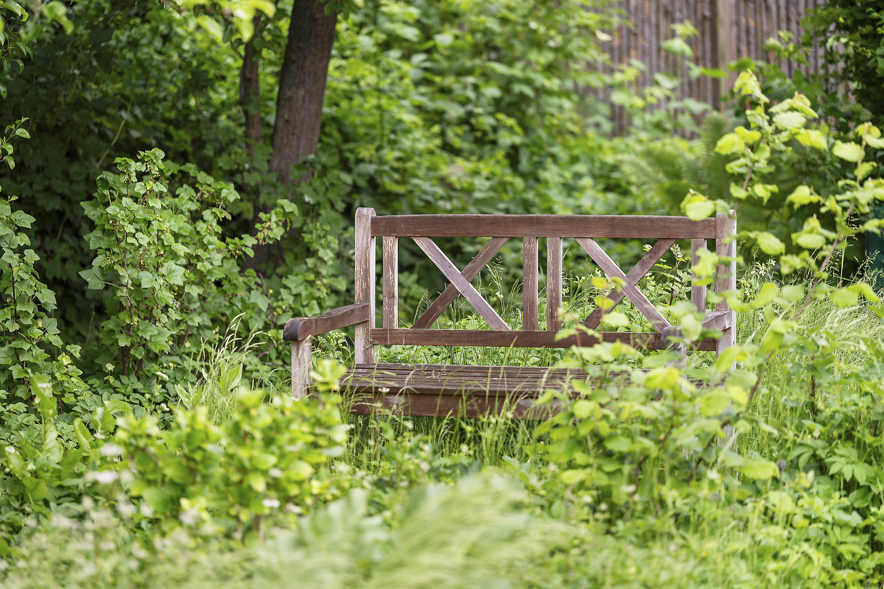 Fremhævet område billede i fuldskærmstilstand. Billede af Vinrankevej 4, 2900 Hellerup