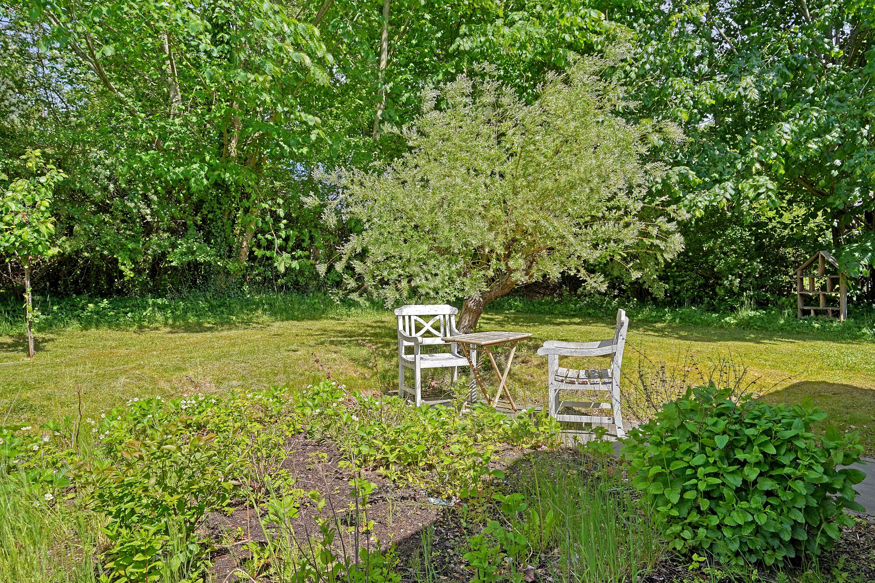 Fremhævet have billede i fuldskærmstilstand. Billede af Park Alle 9B, 3120 Dronningmølle