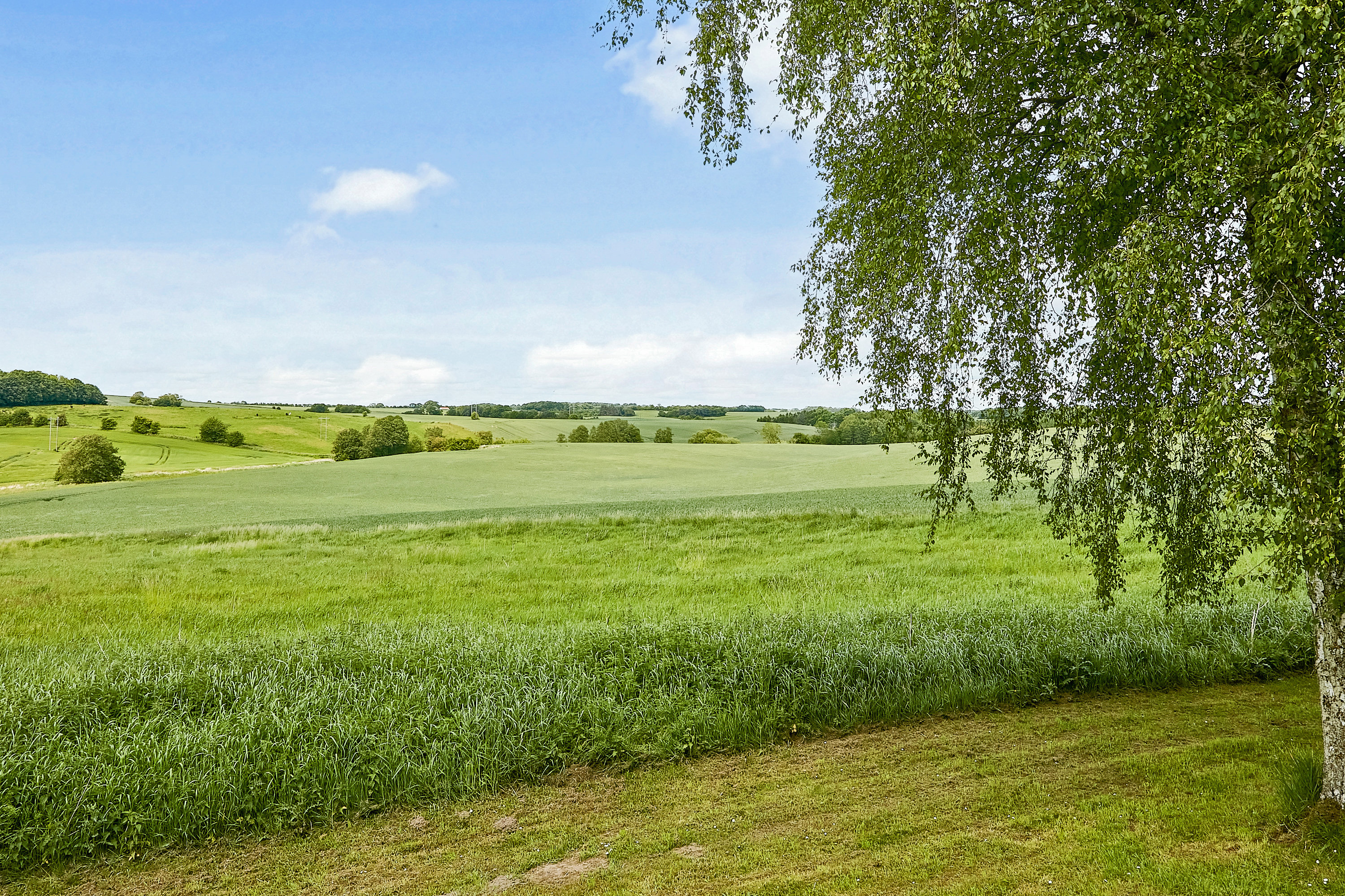 Fremhævet  billede i fuldskærmstilstand. Billede af Værvej 55, 8700 Horsens