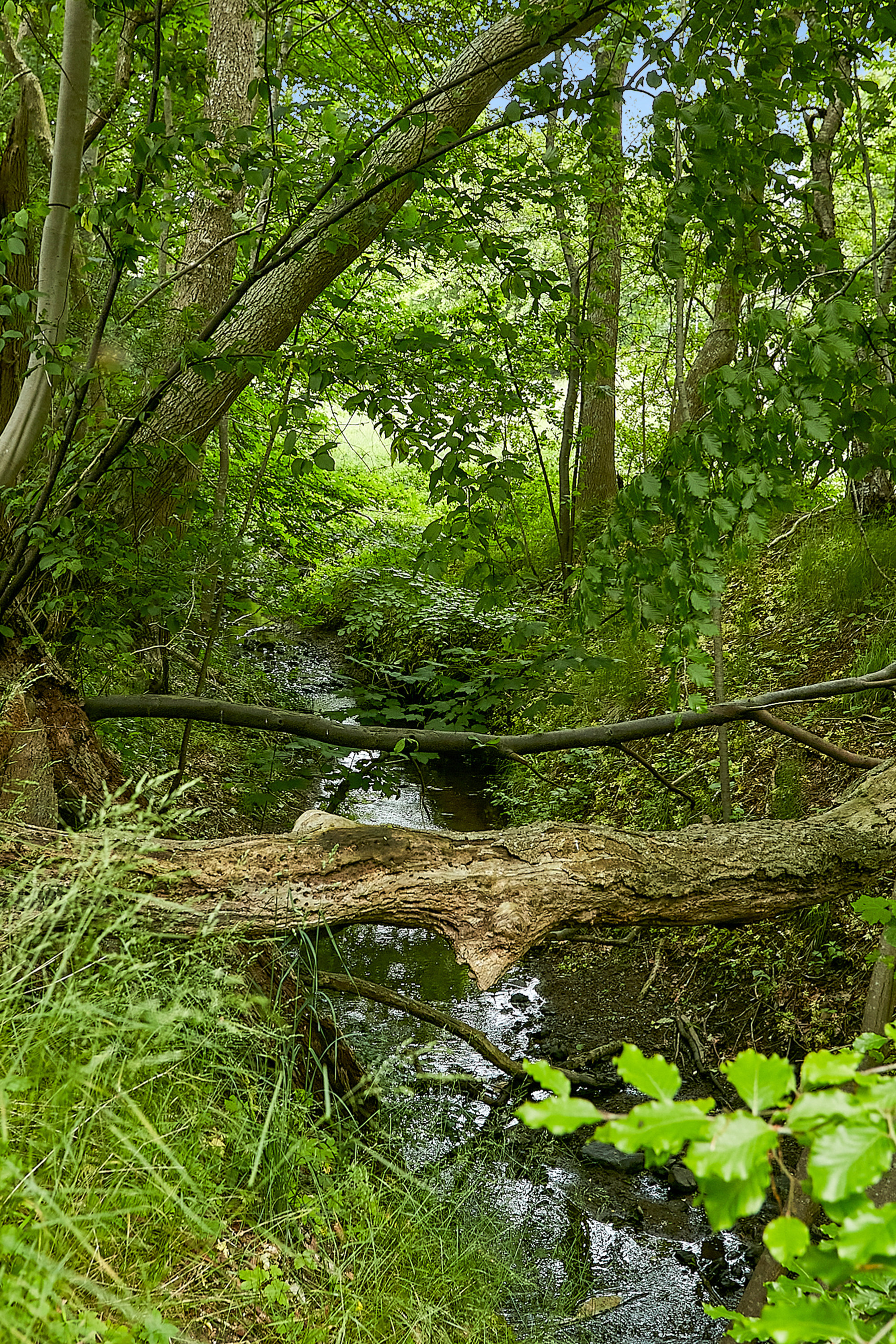 Fremhævet  billede i fuldskærmstilstand. Billede af Møllebakken 4, Rårup, 7130 Juelsminde