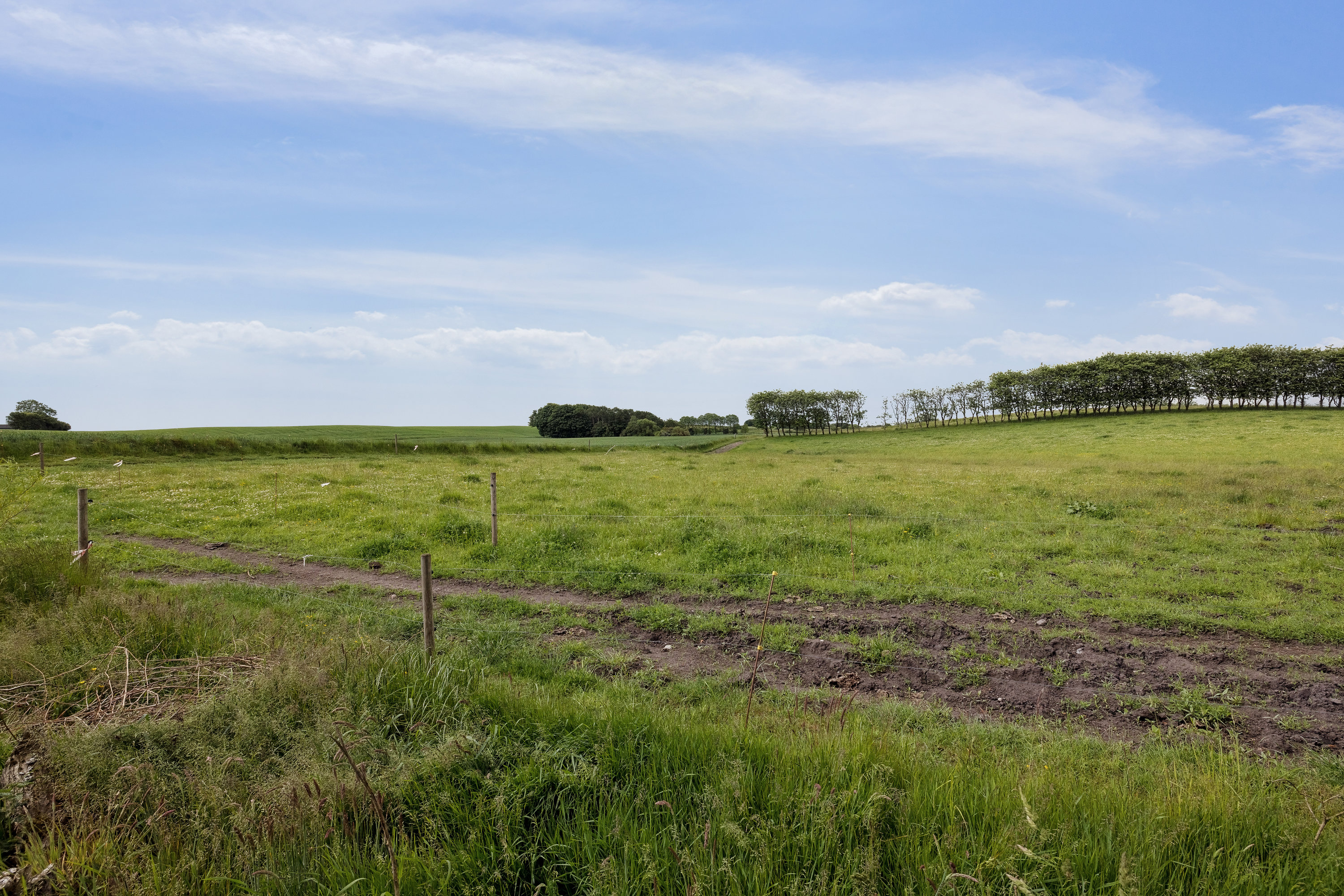 Fremhævet omgivelser billede i fuldskærmstilstand. Billede af Nørreåvej 25, Vejrum, 8830 Tjele