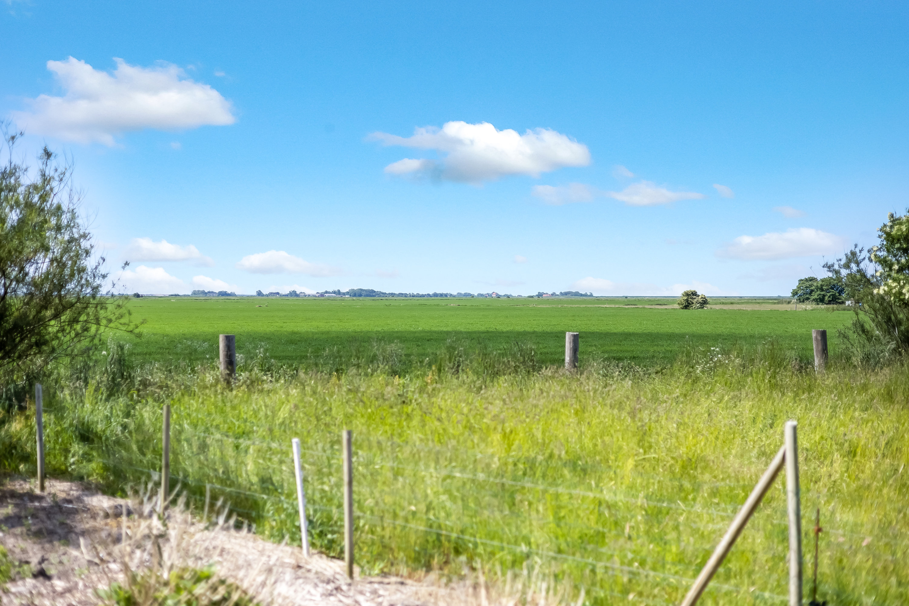 Fremhævet have billede i fuldskærmstilstand. Billede af Kannikhusvej 2, Bønderby, 6270 Tønder