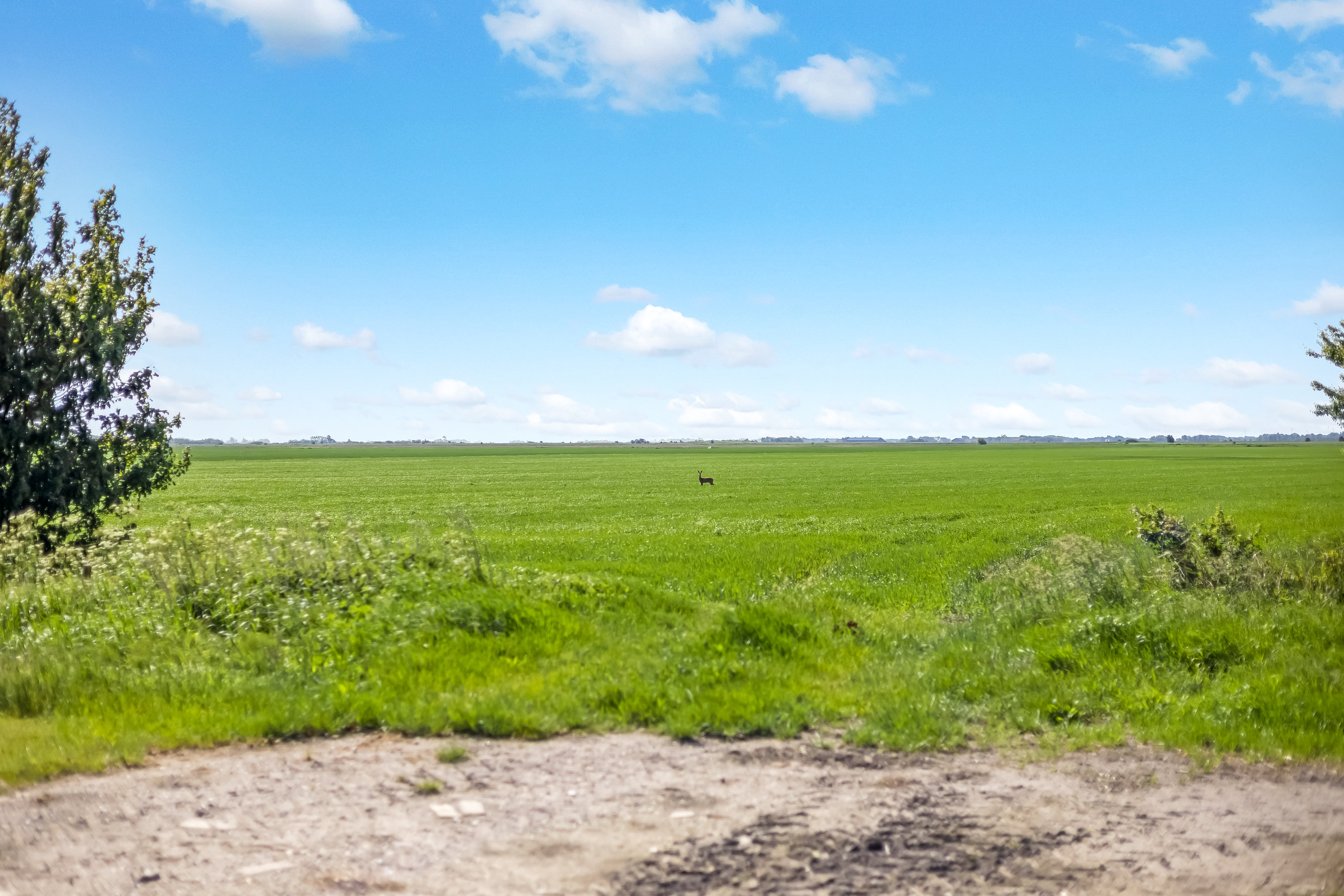 Fremhævet andet billede i fuldskærmstilstand. Billede af Kannikhusvej 2, Bønderby, 6270 Tønder