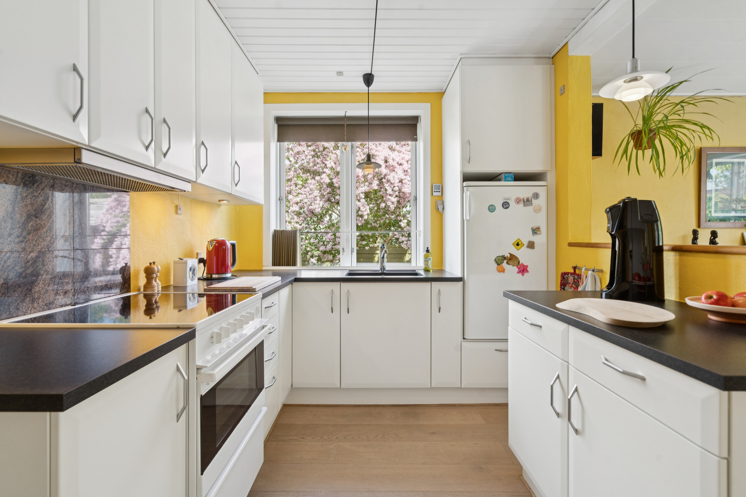 Fremhævet køkken billede i fuldskærmstilstand. Billede af Gyldenstenvej 33, 5230 Odense M