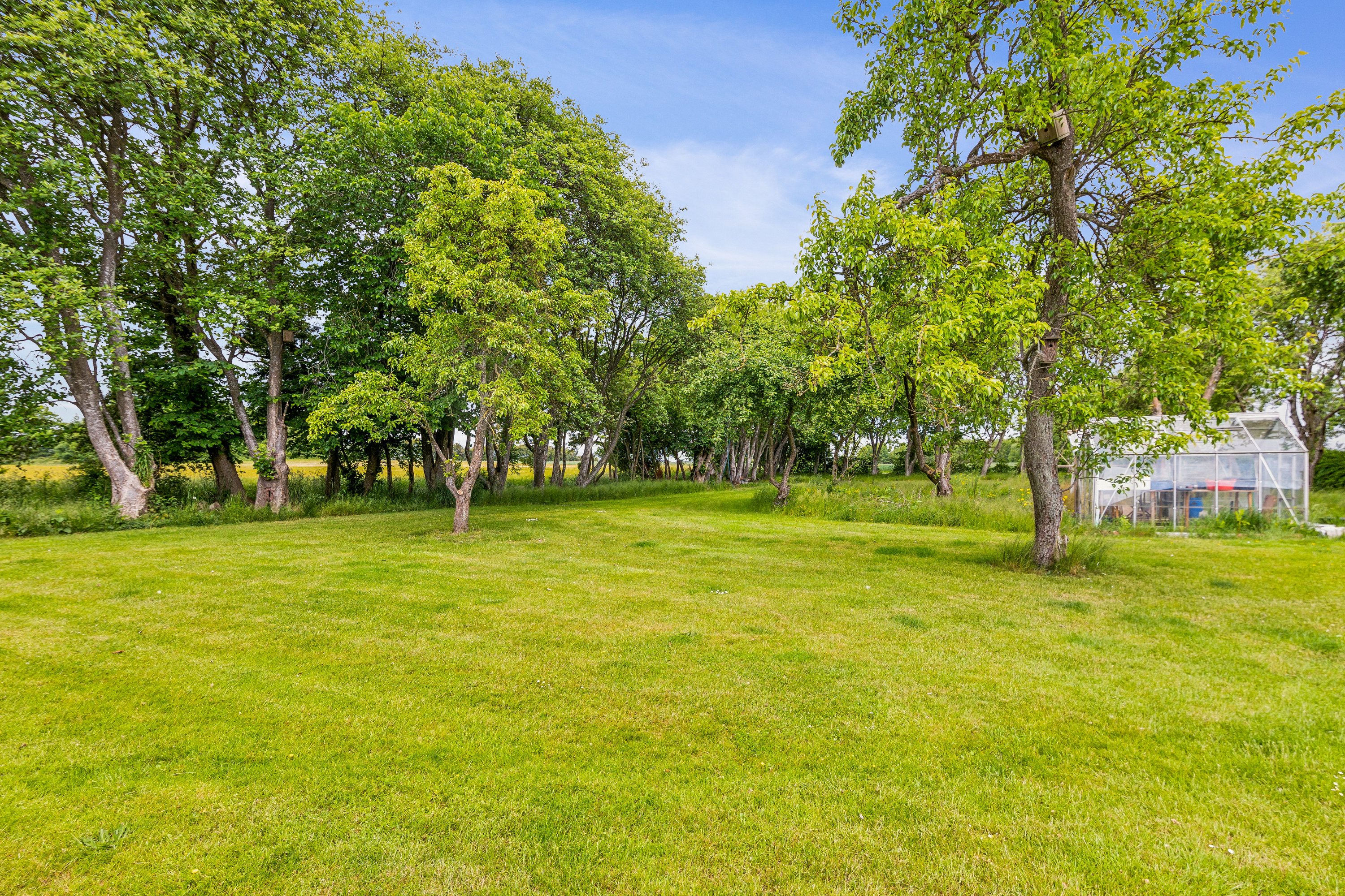 Miniaturebillede 2: omgivelser. Billede af Korreborgvej 53, Vejrum, 8830 Tjele