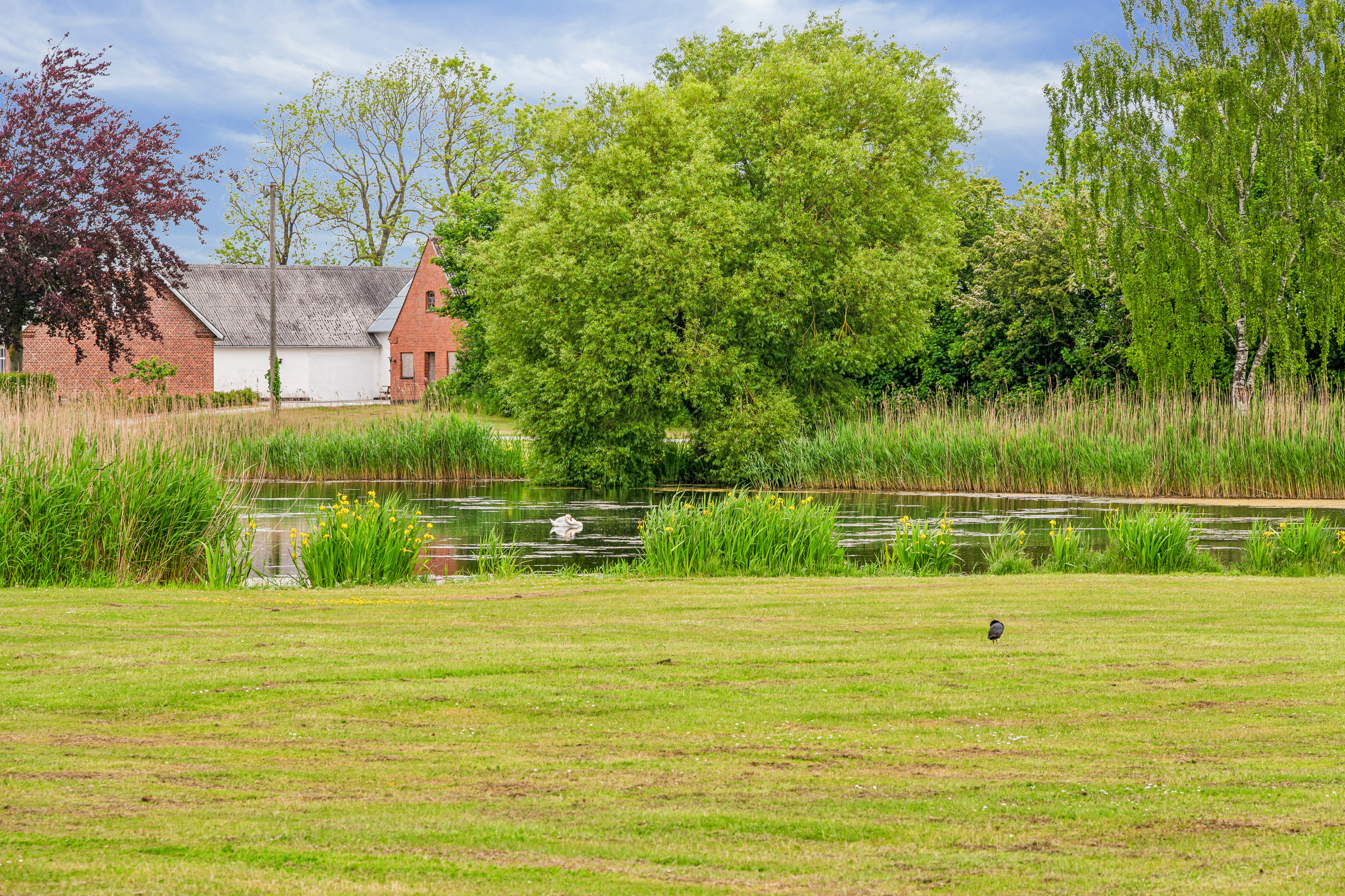 Fremhævet  billede i fuldskærmstilstand. Billede af Estruplundvej 11, Store Sjørup, 8950 Ørsted