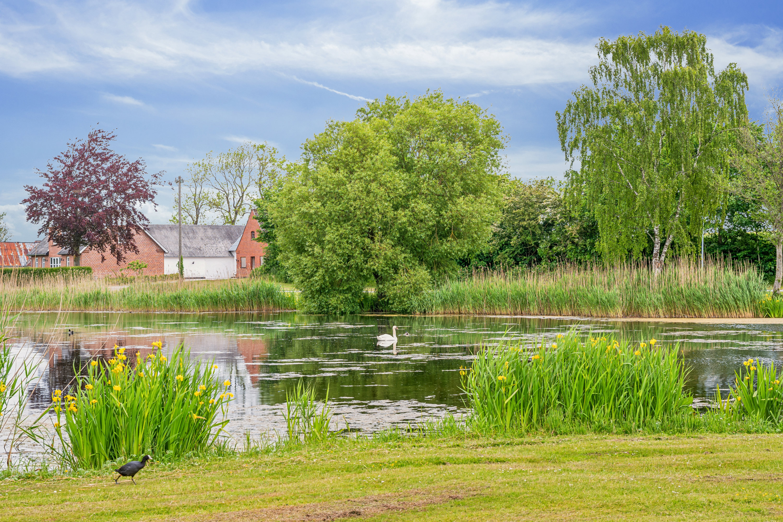 Fremhævet  billede i fuldskærmstilstand. Billede af Estruplundvej 11, Store Sjørup, 8950 Ørsted