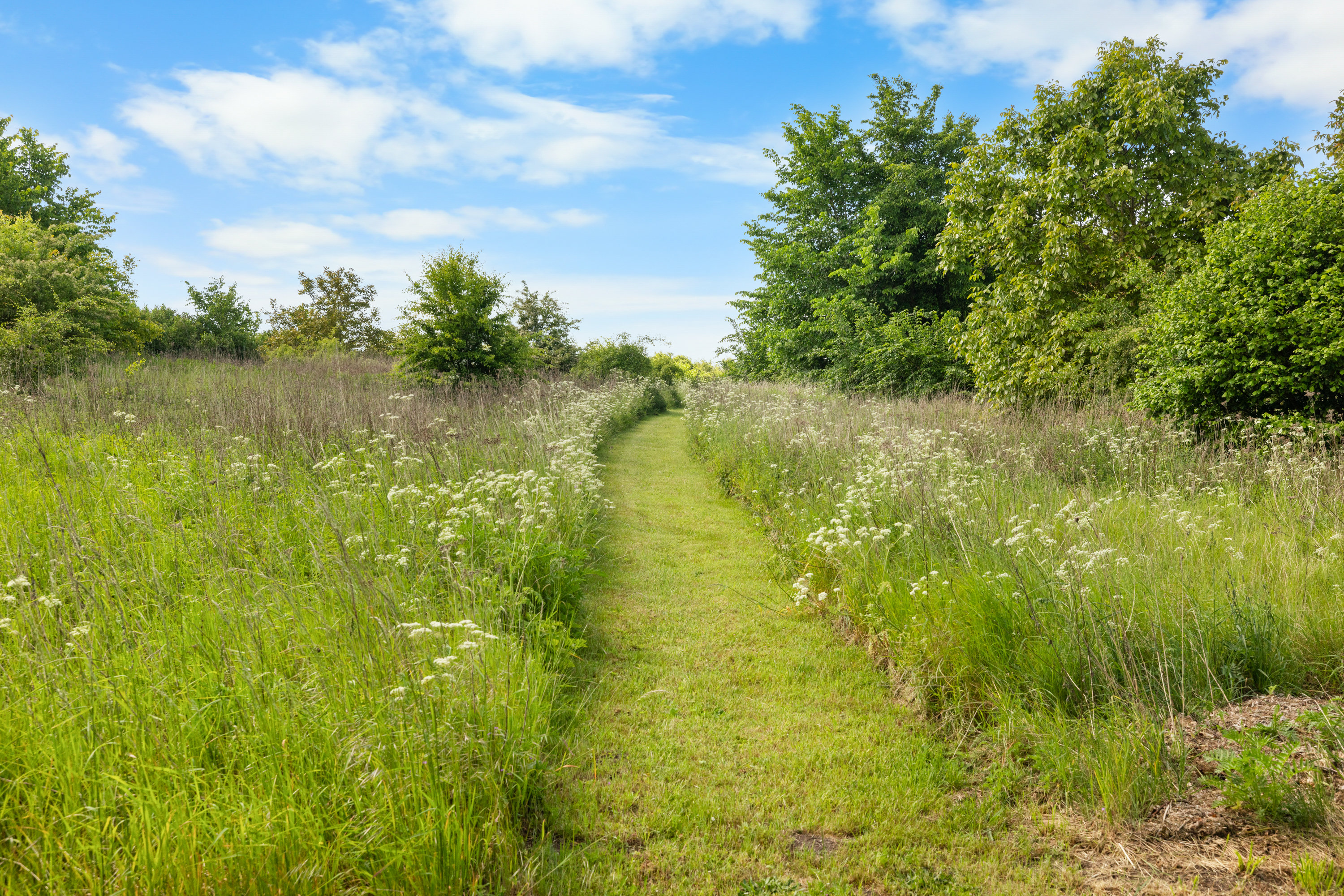 Fremhævet andet billede i fuldskærmstilstand. Billede af Nyborgvej 20, 5600 Faaborg