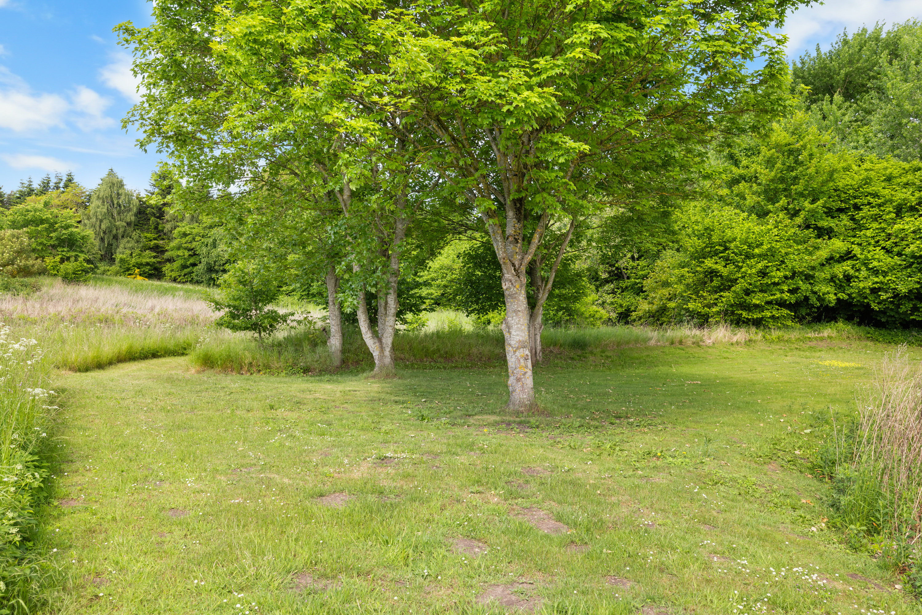 Fremhævet have billede i fuldskærmstilstand. Billede af Nyborgvej 20, 5600 Faaborg