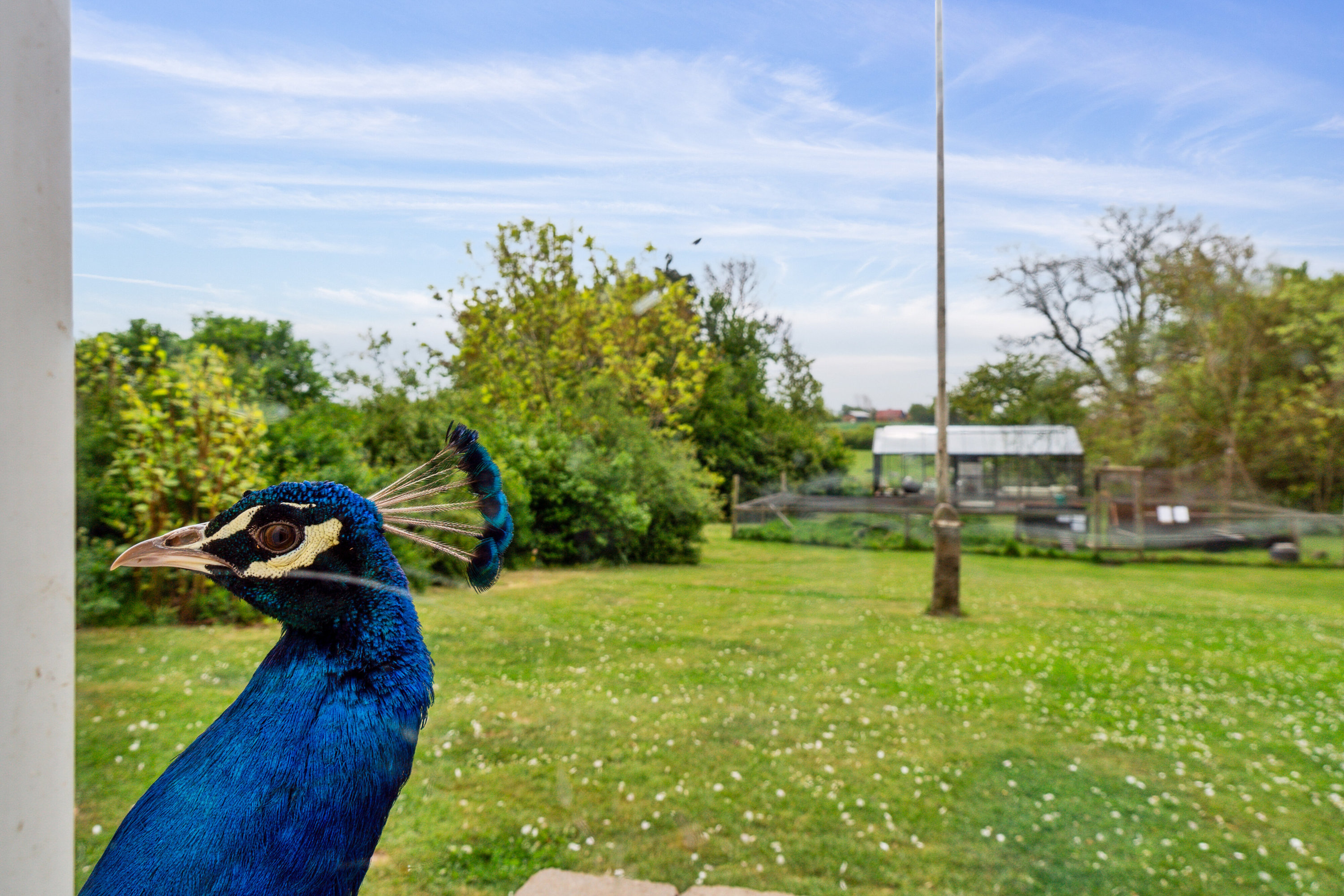 Fremhævet udsigt billede i fuldskærmstilstand. Billede af Krækketsvej 3, Østerlars, 3760 Gudhjem