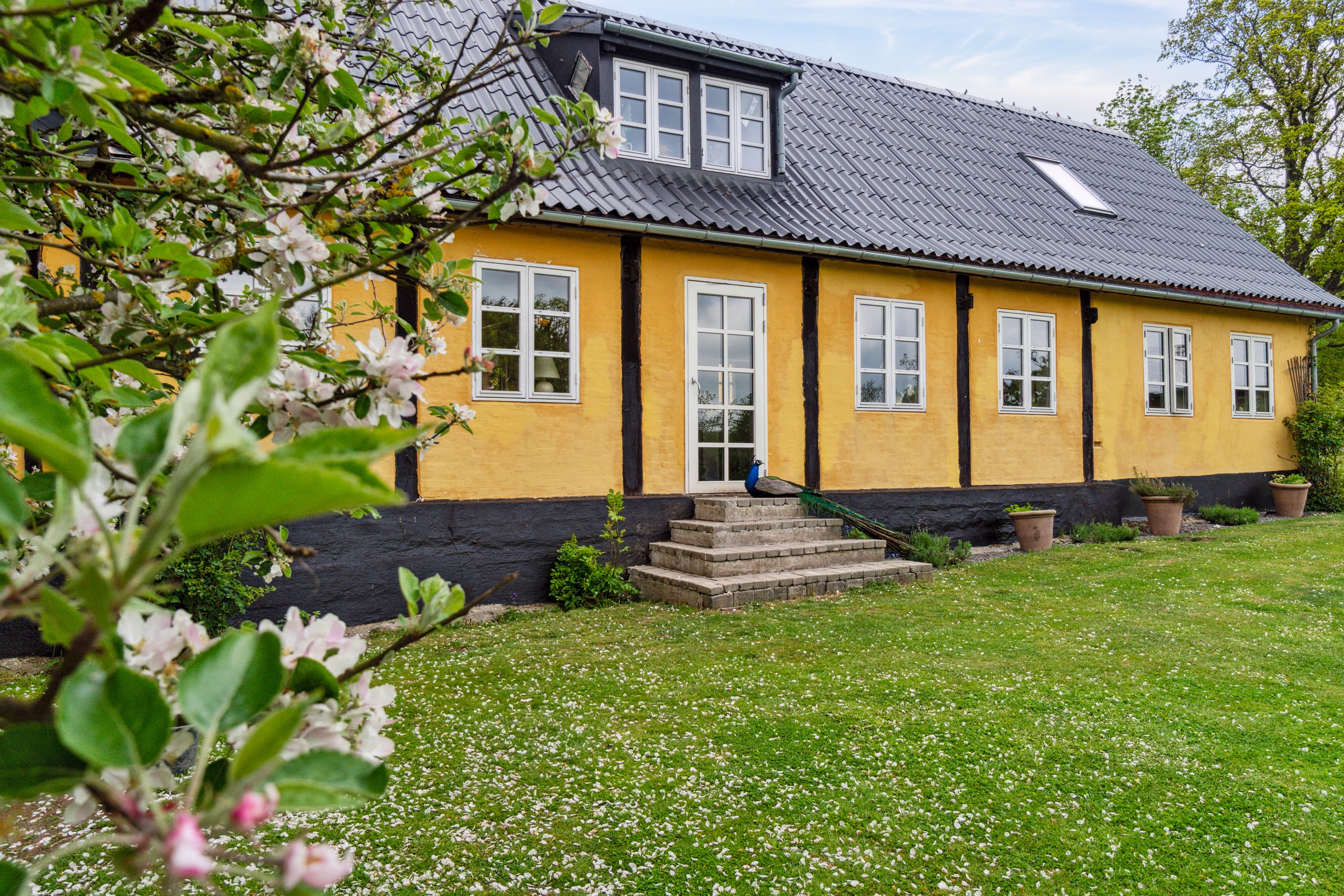 Fremhævet set fra haven billede i fuldskærmstilstand. Billede af Krækketsvej 3, Østerlars, 3760 Gudhjem